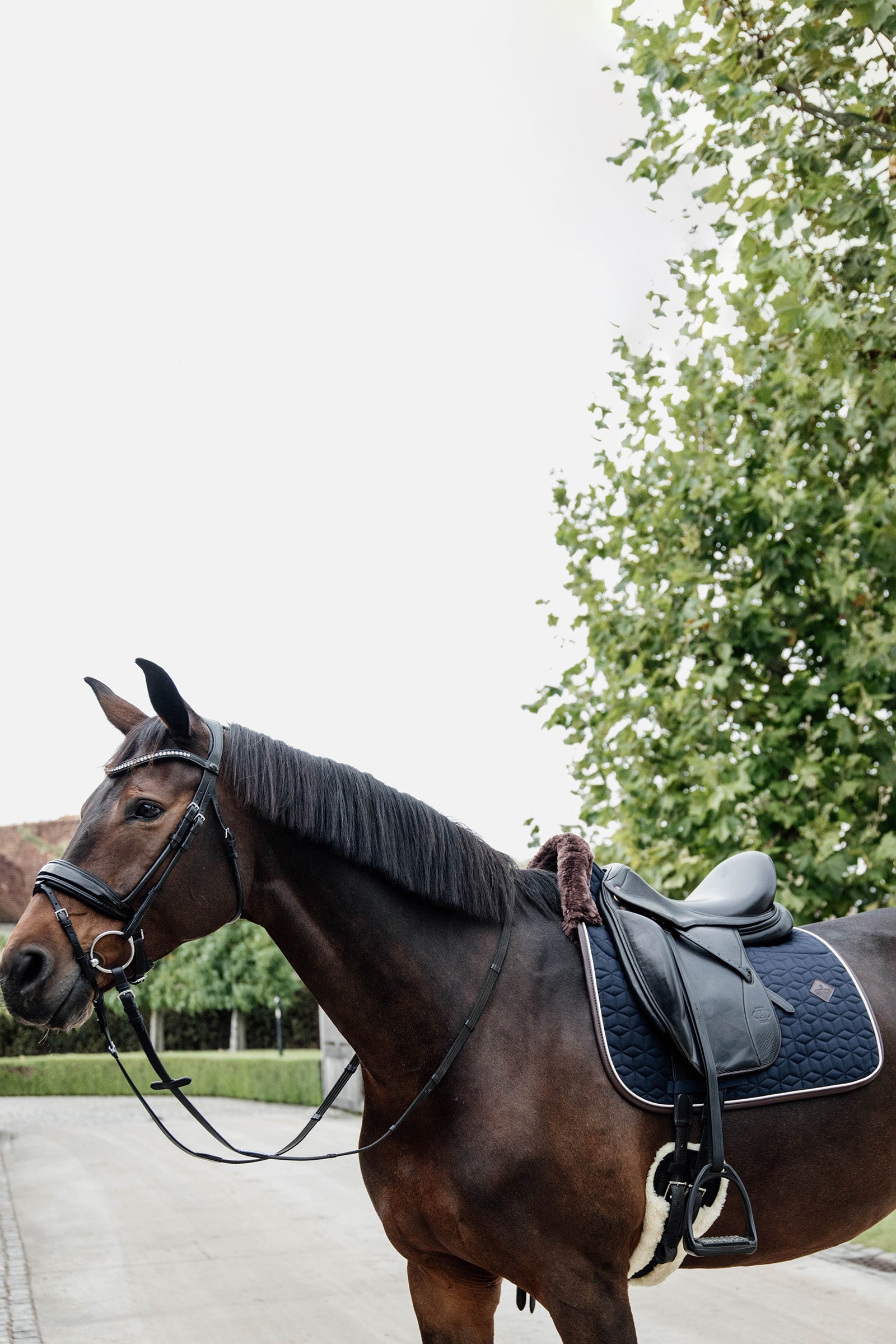 Kentucky Horsewear Skin Friendly Dressage Saddle Pad Saddle Pads