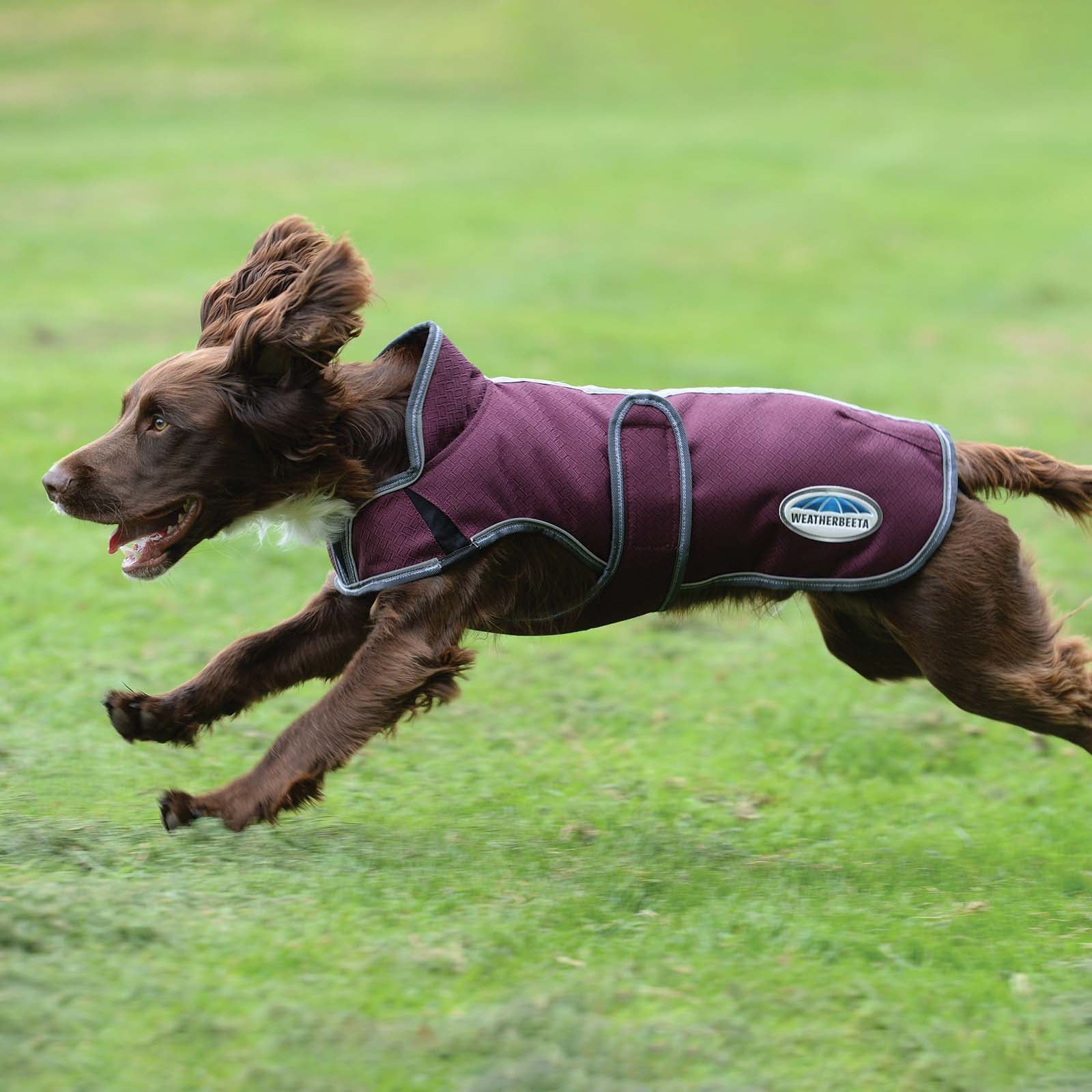 Weatherbeeta Comfitec Premier Free Parka Deluxe Dog Coat, 220g Dog Accesories