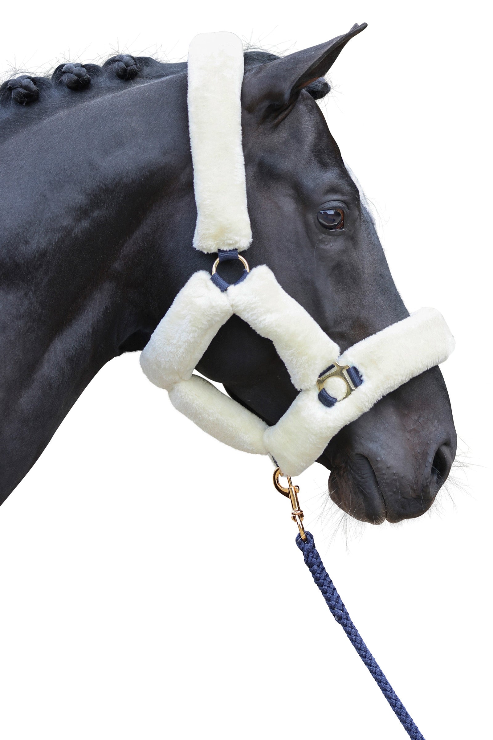 Covalliero SuperSoft Halter Grimer & Træktove
