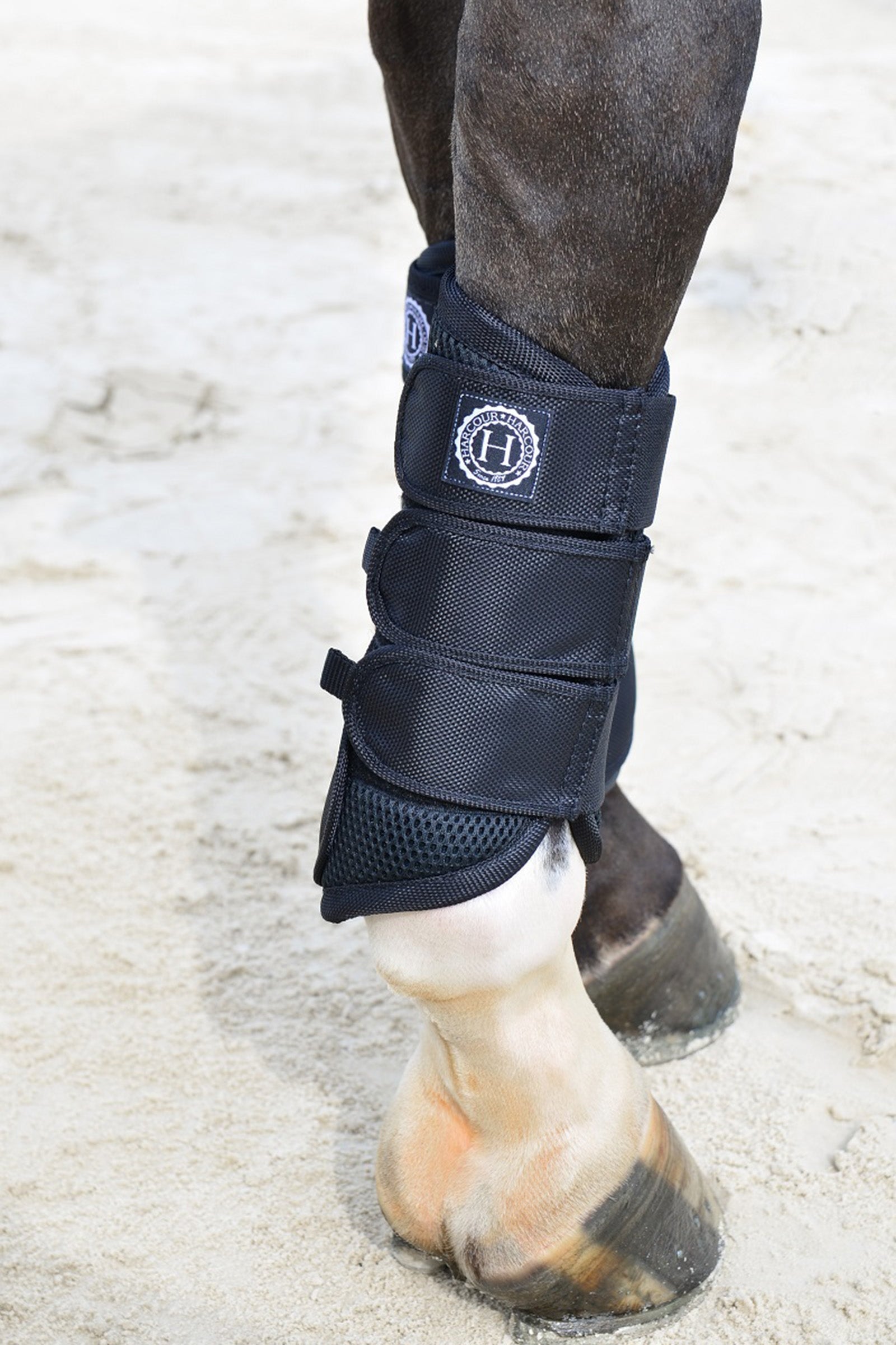 Harcour Cosmic Mesh senestøvler Leg Protection & Hoof Protection for Horses