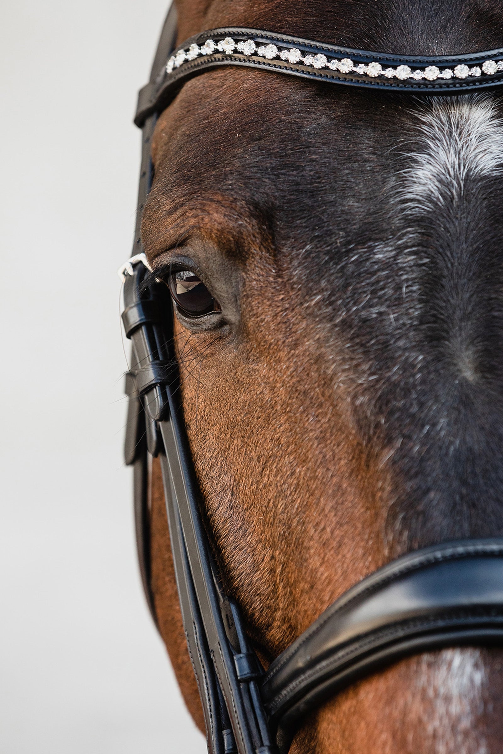 Schockemöhle Sports Milton Anatomic  Double Bridle Bridles & Reins