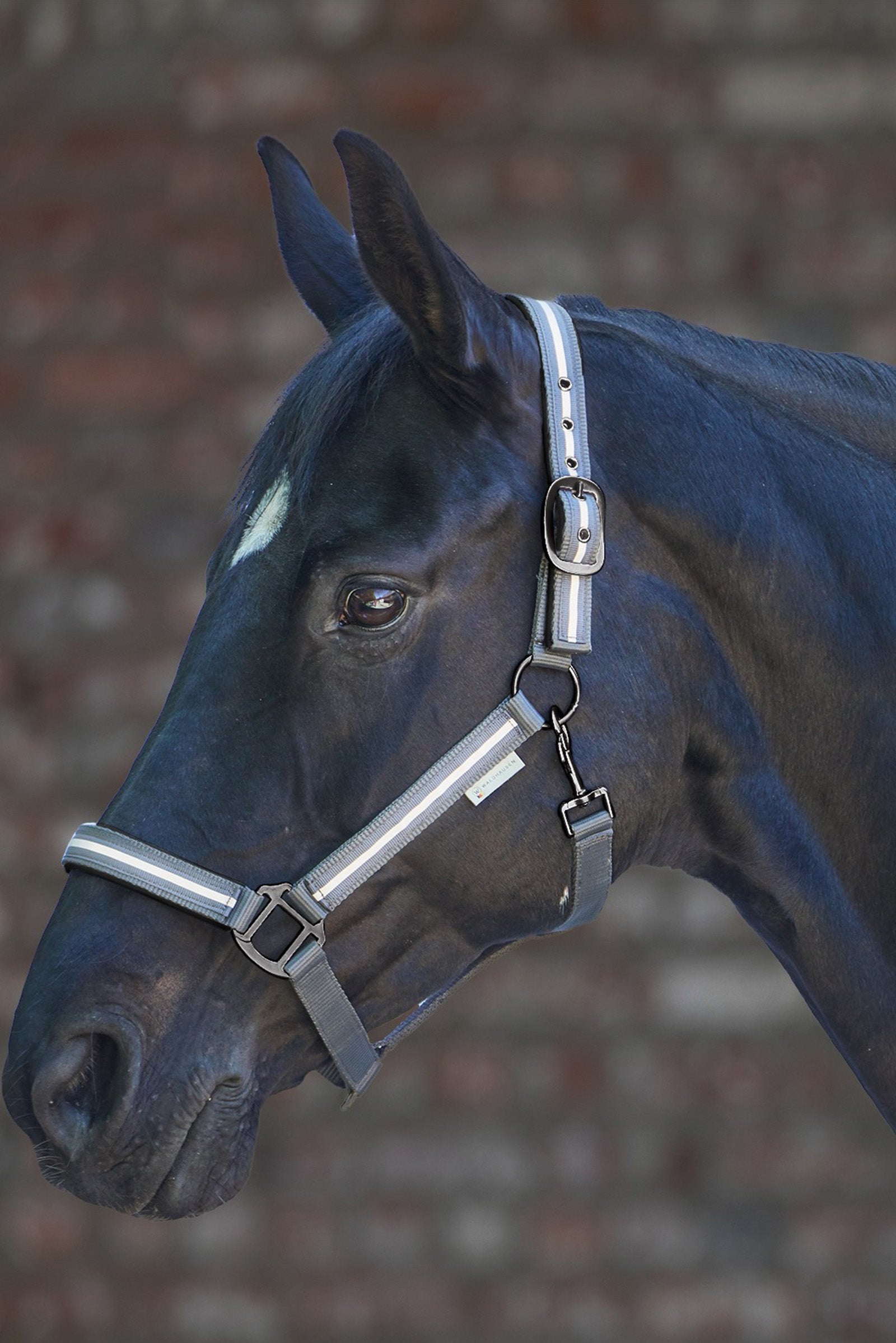 Waldhausen Reflex Stripe Halter Grimer & Træktove