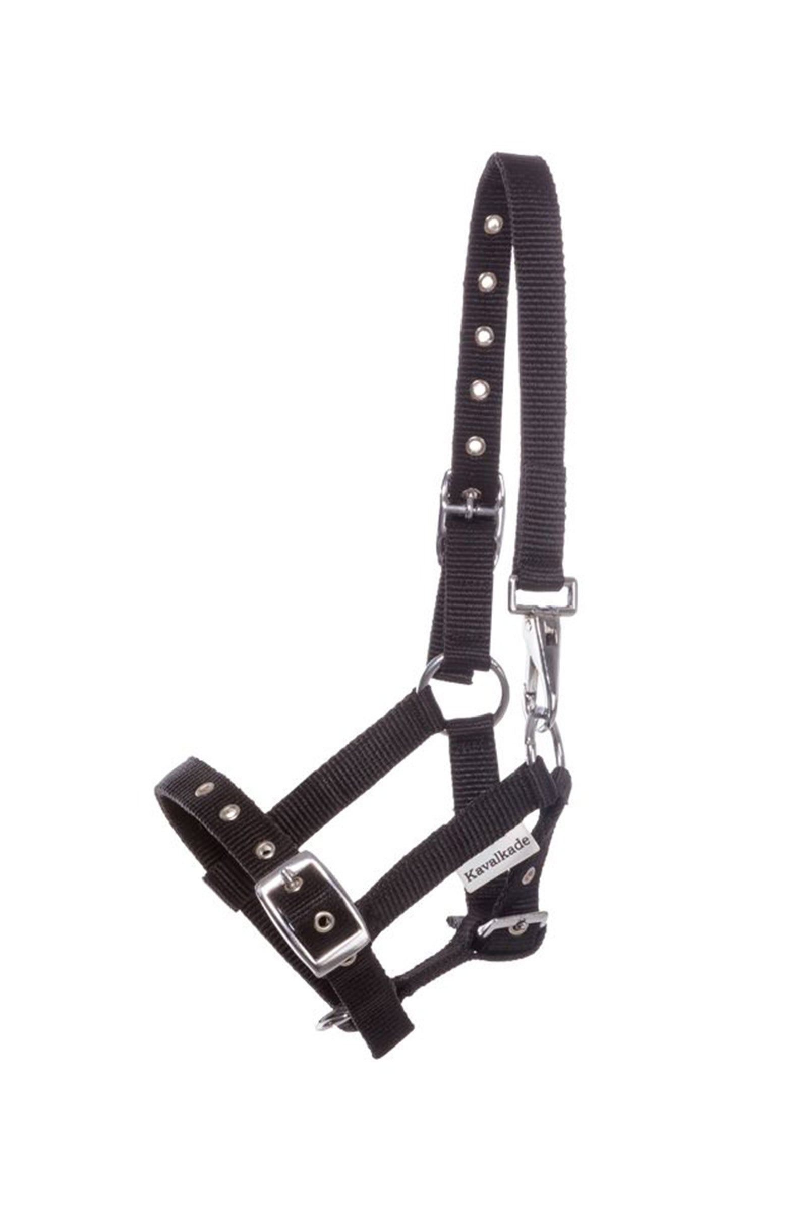Kavalkade Foal & Yearling Halter Grimer & Træktove