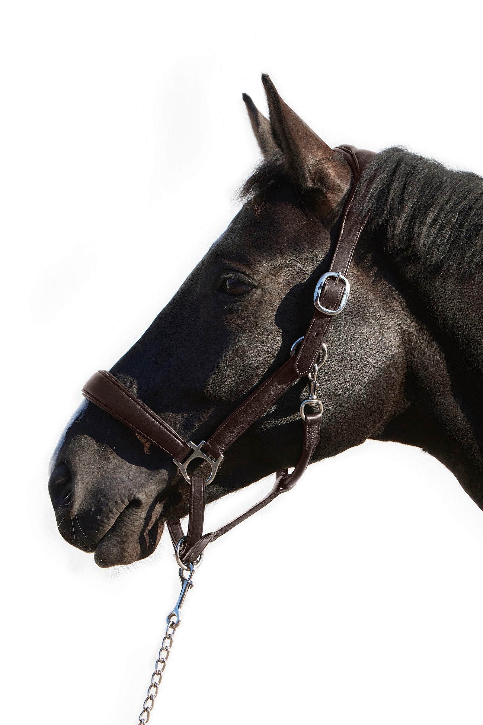 Kieffer Ultrasoft® Deluxe hovedkrave i læder Grimer & Træktove
