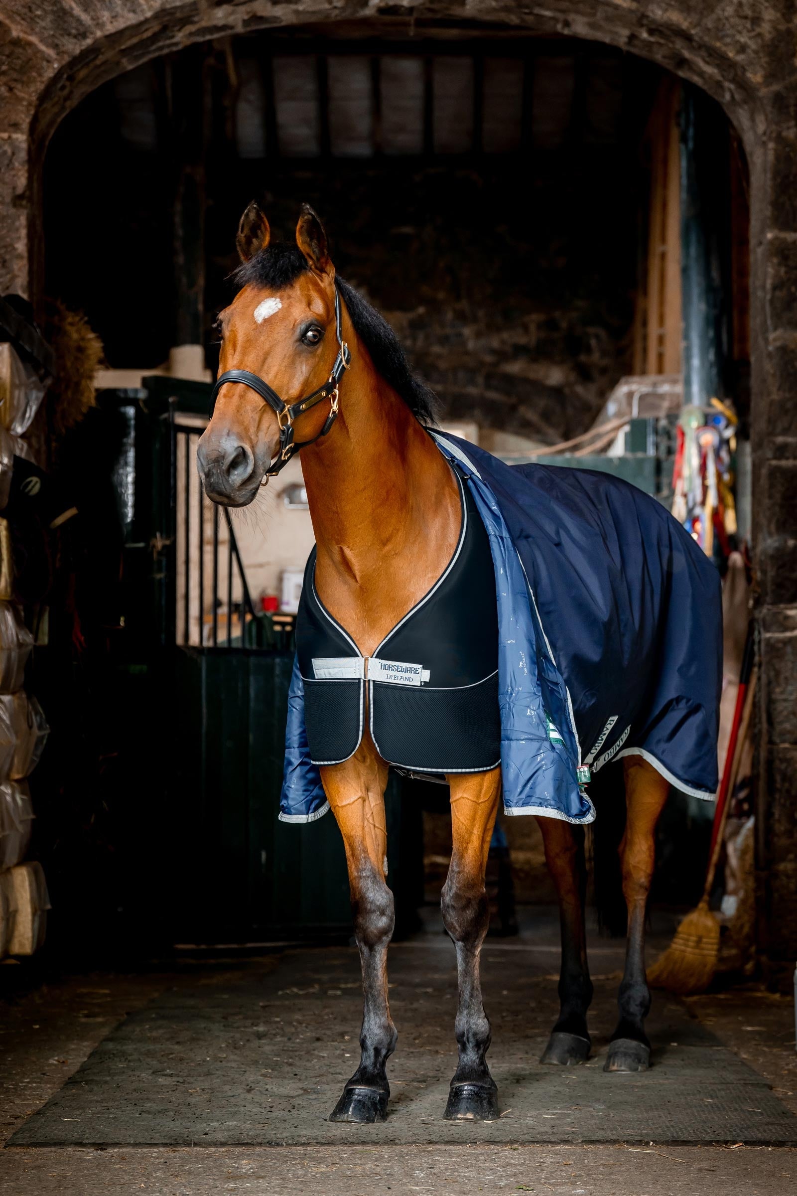 Horseware Dry Liner, 50 g Horse Rugs