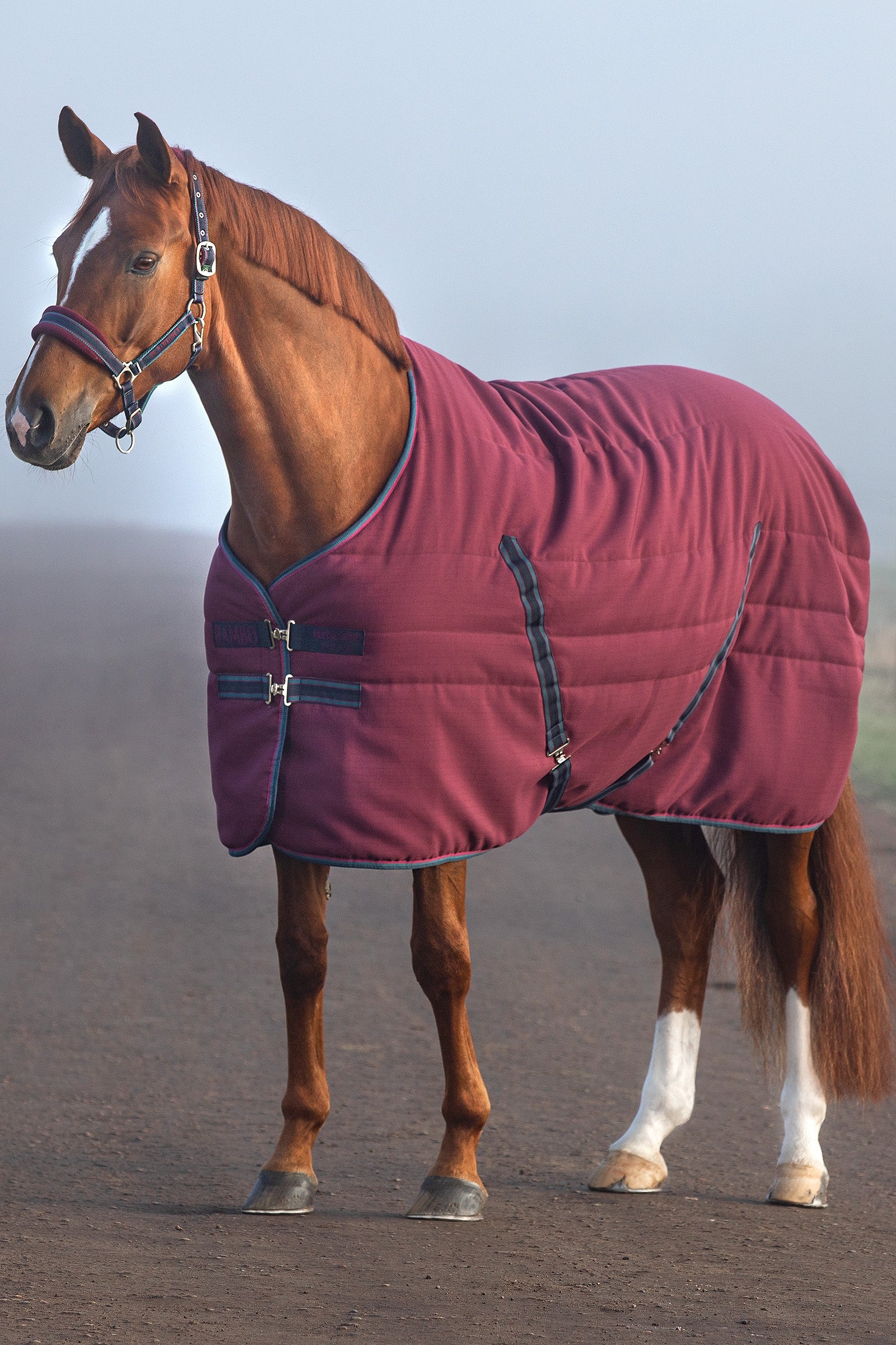 Horseware Rambo Stalddækken med præget foring, 100g Hestedækken