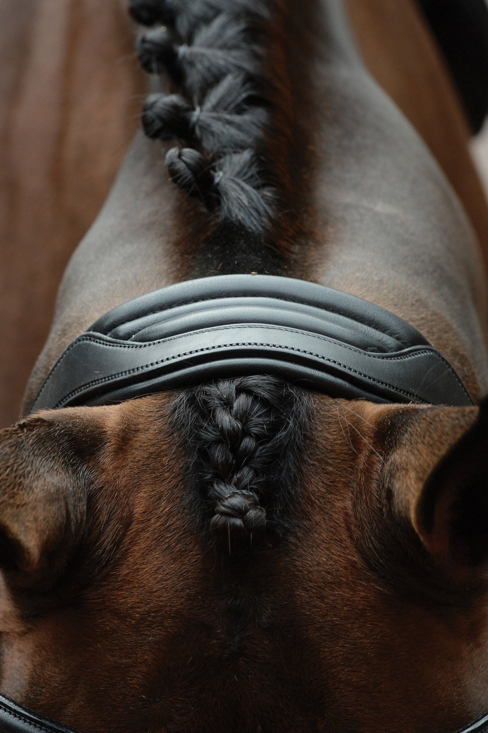 Collegiate Comfitec Vogue Anatomical Bridle Bridles & Reins