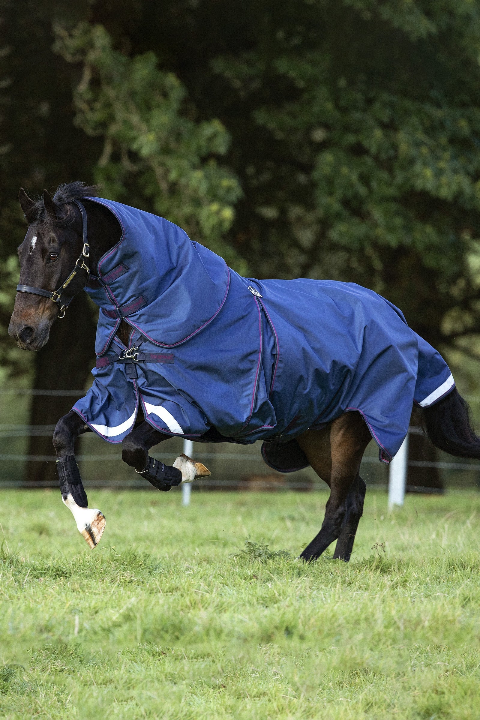 Horseware Rambo Optimo Plus Udedækken, 0g Hestedækken