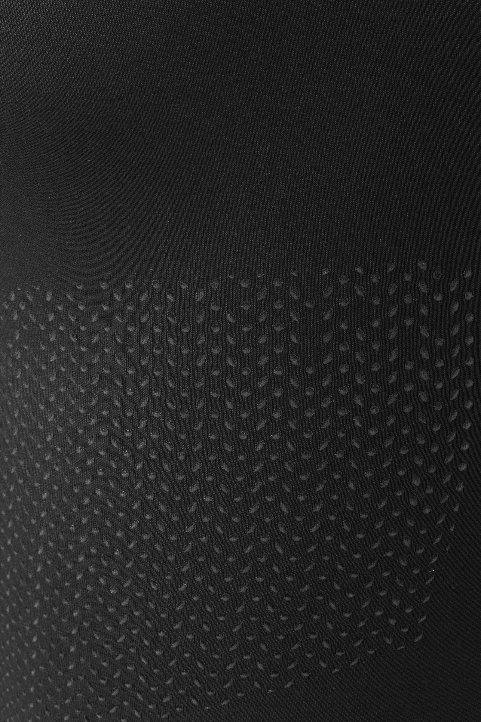 B Vertigo Lara Women's High Waist Full Seat Tights Womens Breeches