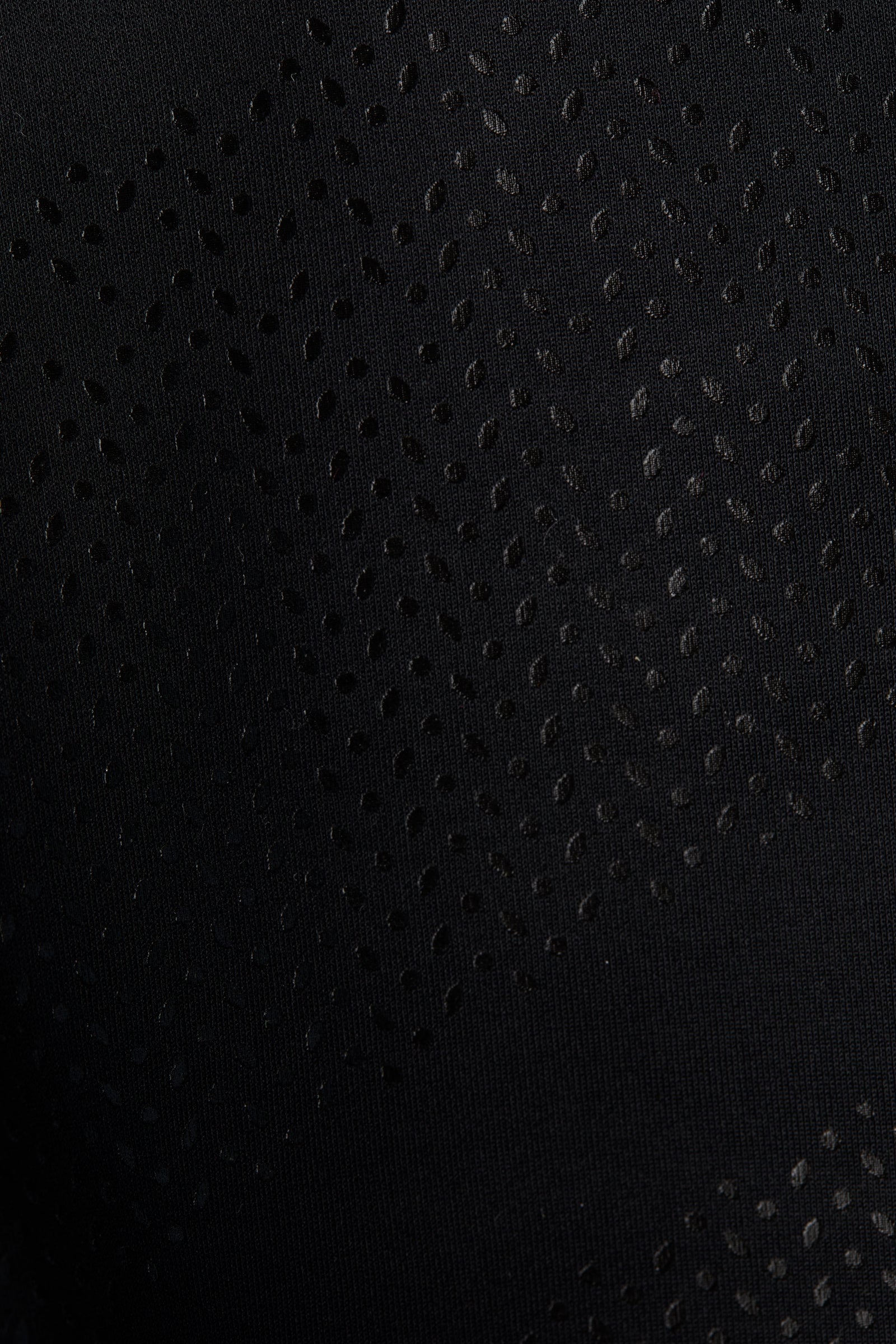 B Vertigo Caitlin Women's Full Seat Riding Tights with High Waist Womens Breeches