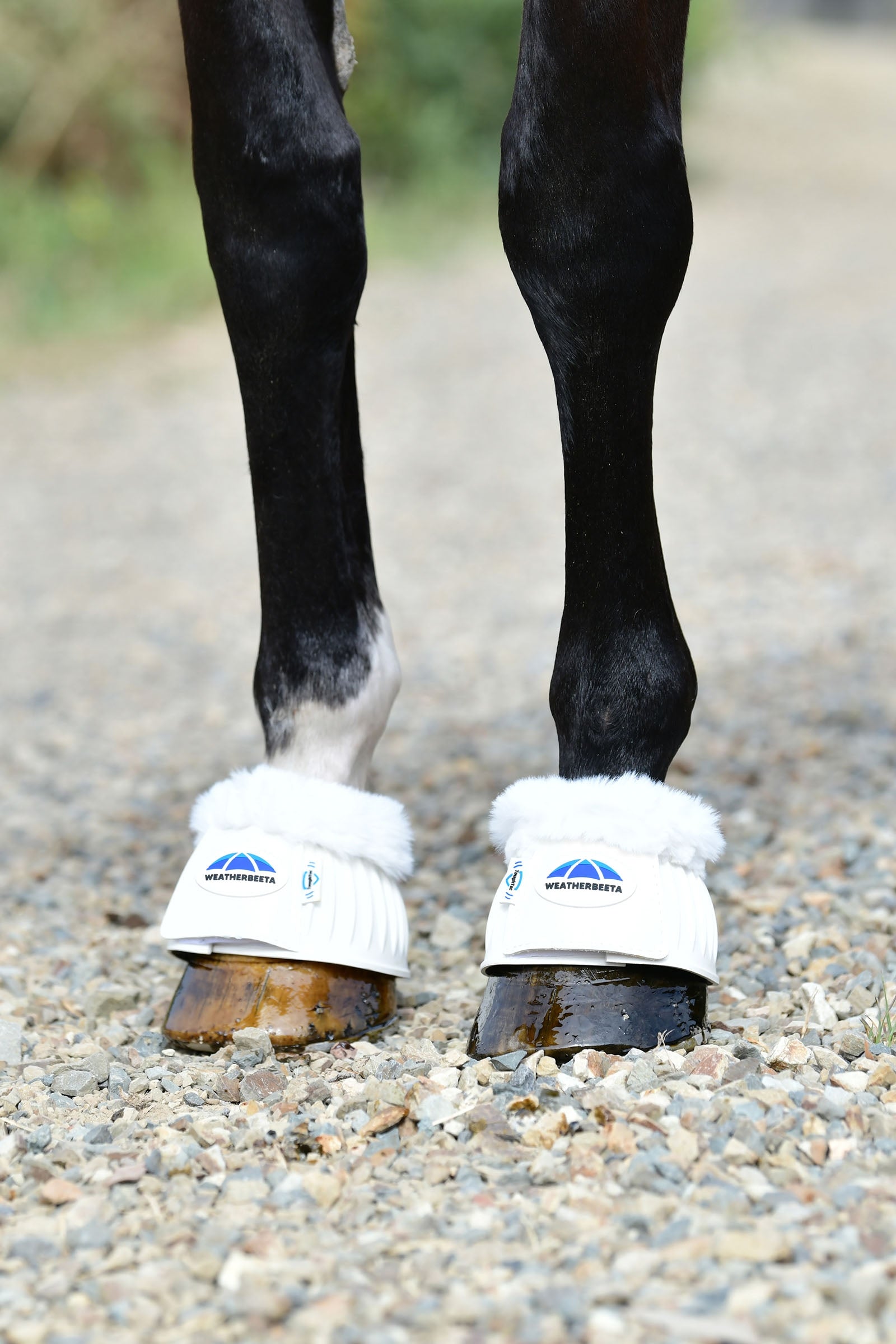 Weatherbeeta Tough-Tec Prime Fleece Trim Rubber Bell Boots Leg Protection & Hoof Protection for Horses