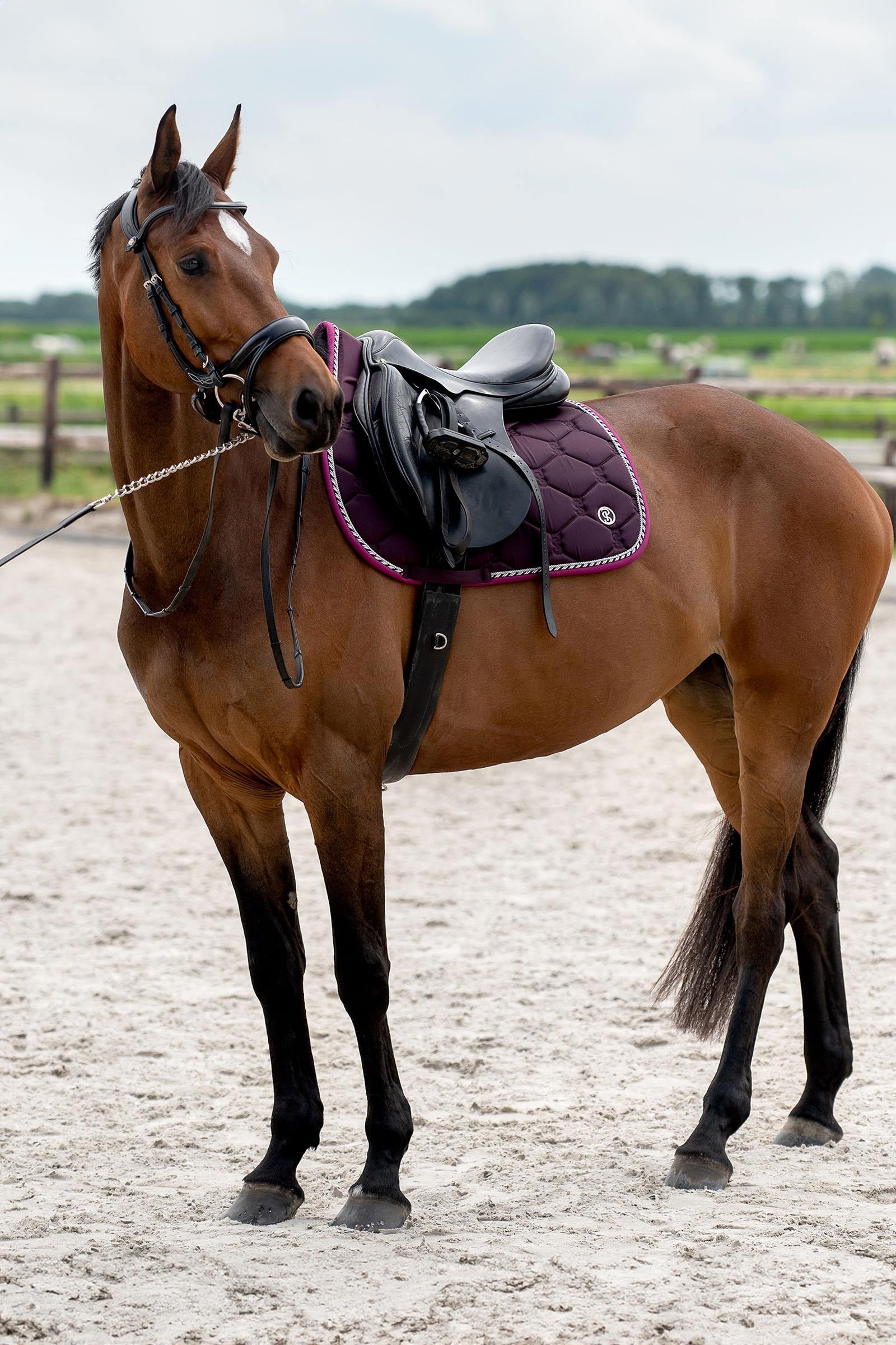 PS of Sweden Signature Jumping Saddle Pad Saddle Pads