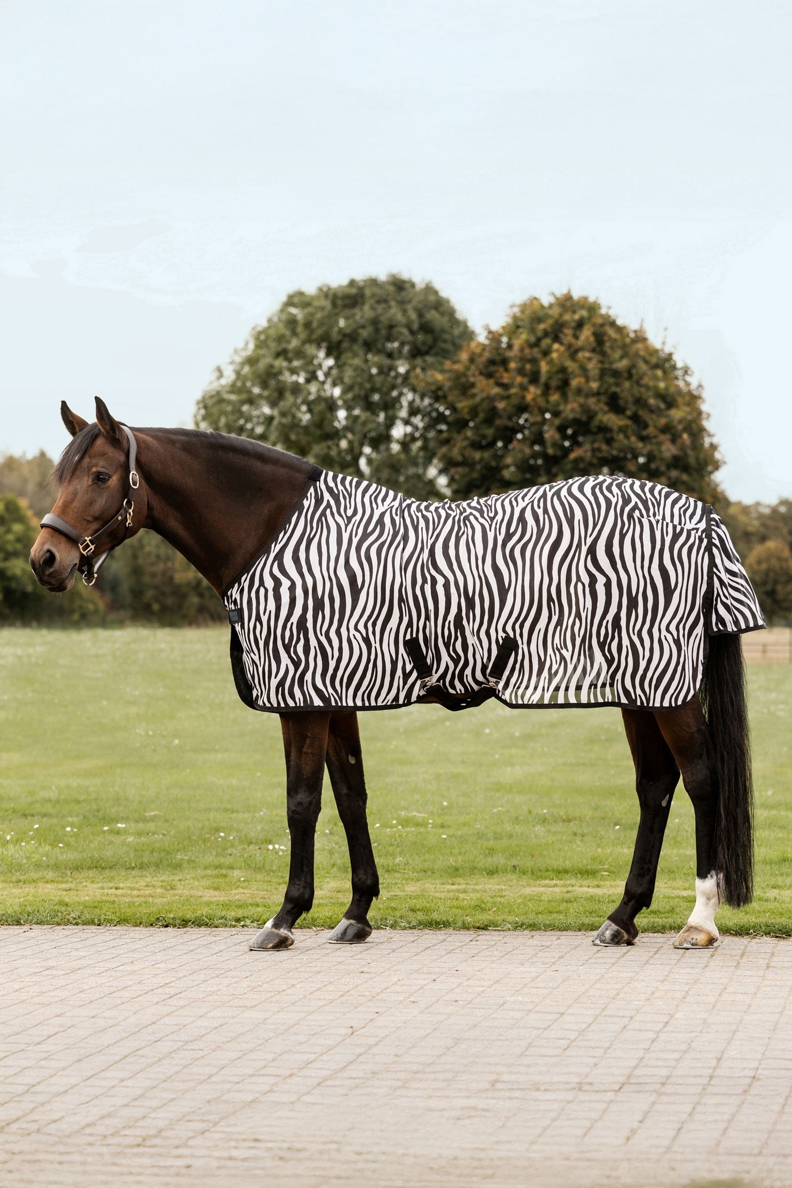 Waldhausen Zebra fluedækken med krydsgjorde Hestedækken