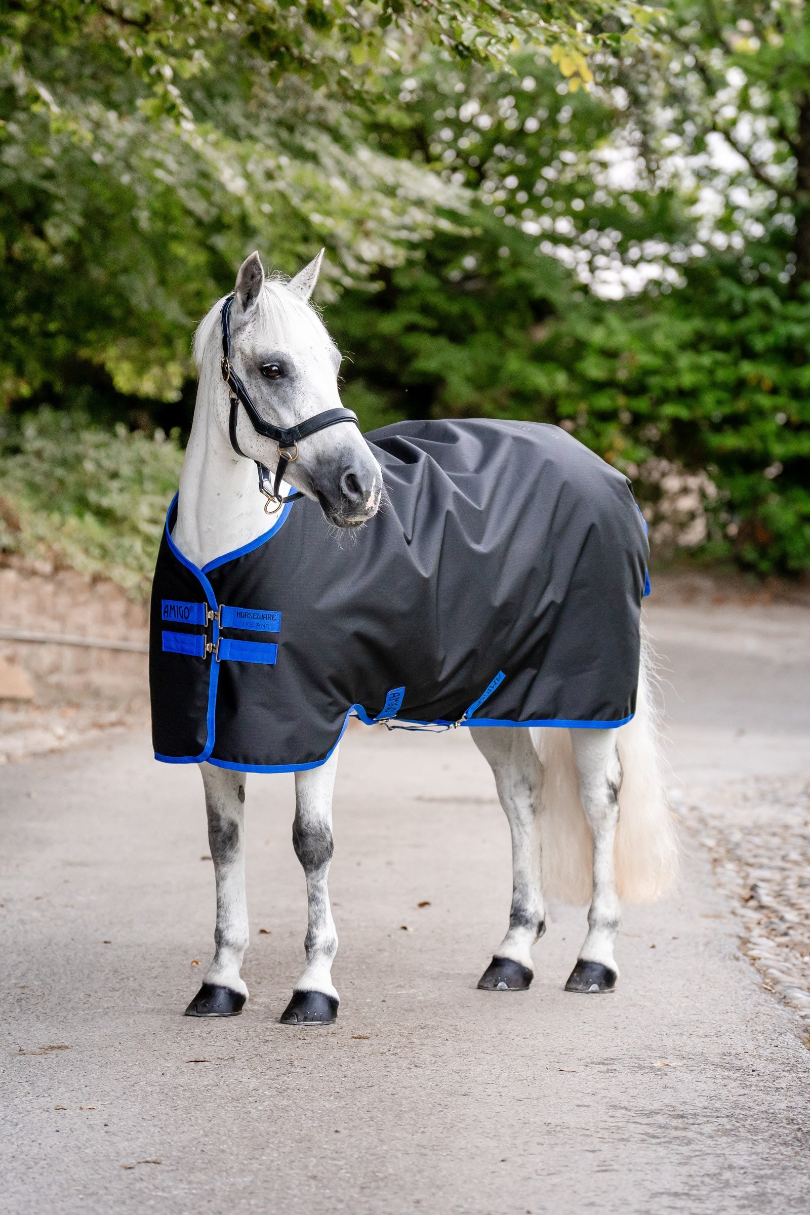 Horseware Amigo Ripstop 900D udedækken, 200 g Hestedækken