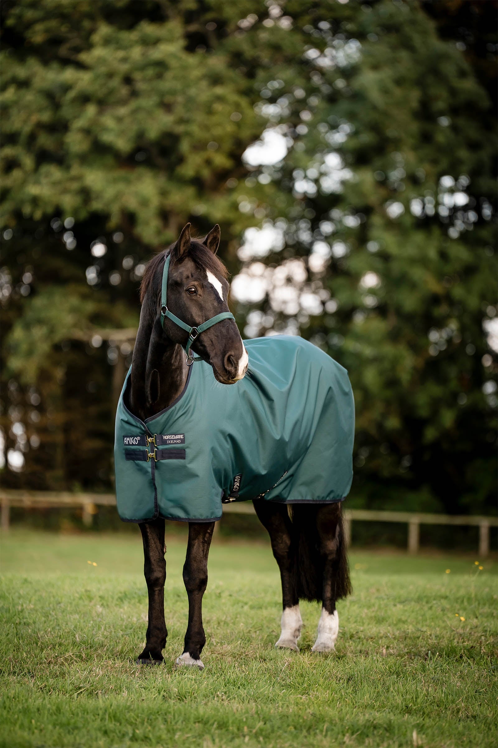 Horseware Amigo Ripstop 900D udedækken, 200 g Hestedækken