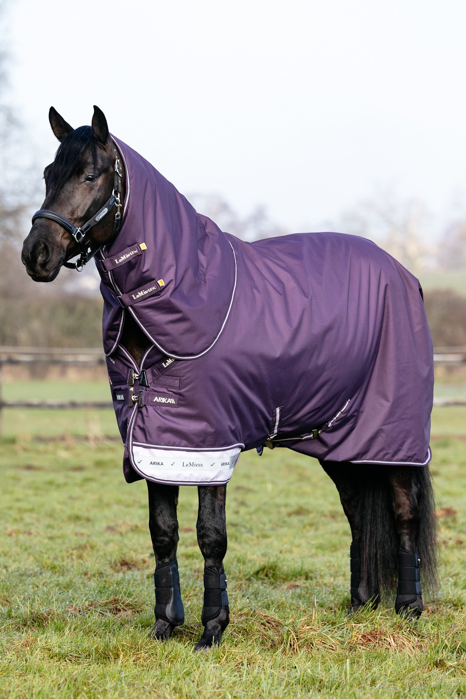 LeMieux Arika Ripstop Turnout Rug With Detachable Neck, 200 g Hestedækken