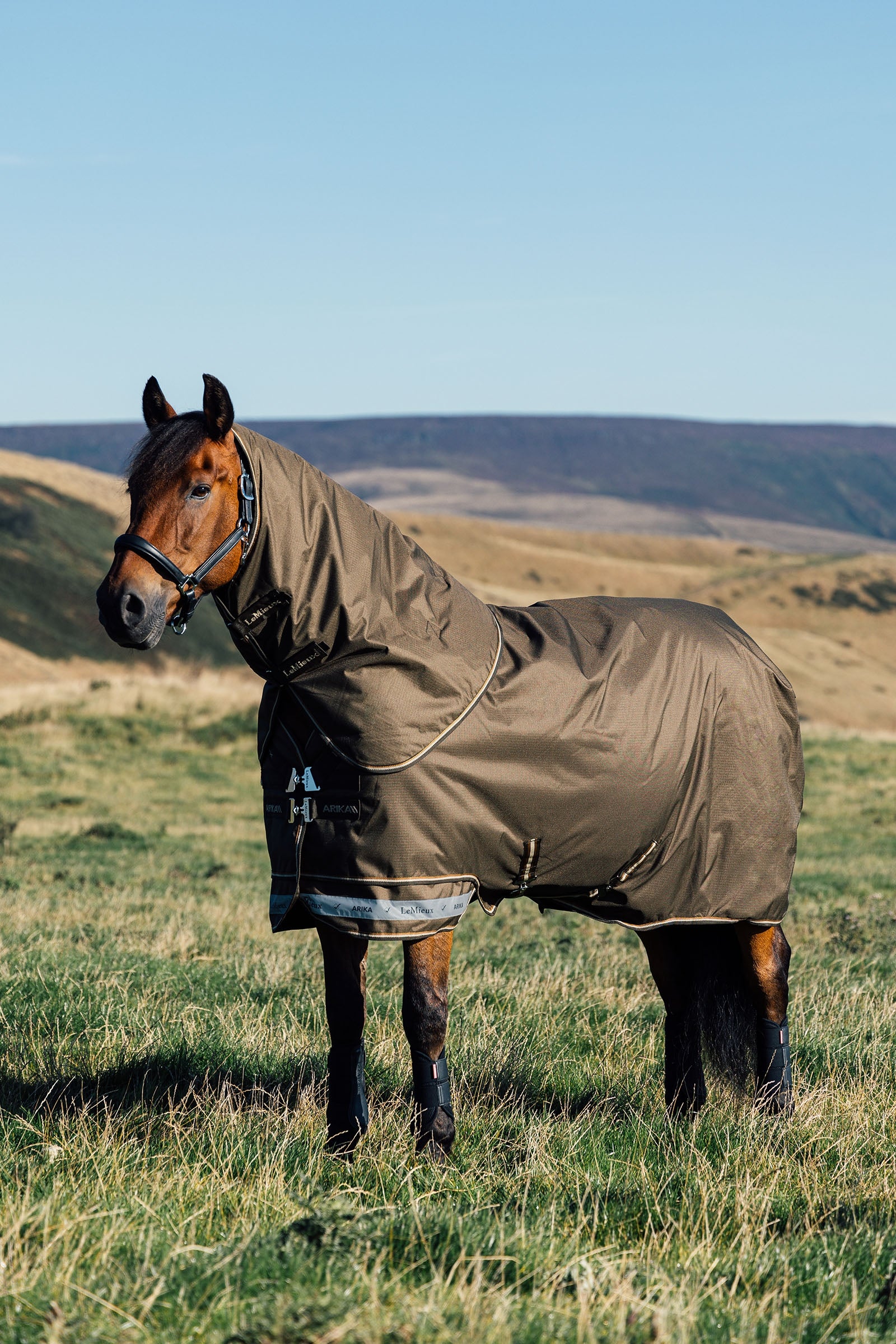 LeMieux Arika Ripstop Turnout Rug With Detachable Neck, 200 g Horse Rugs