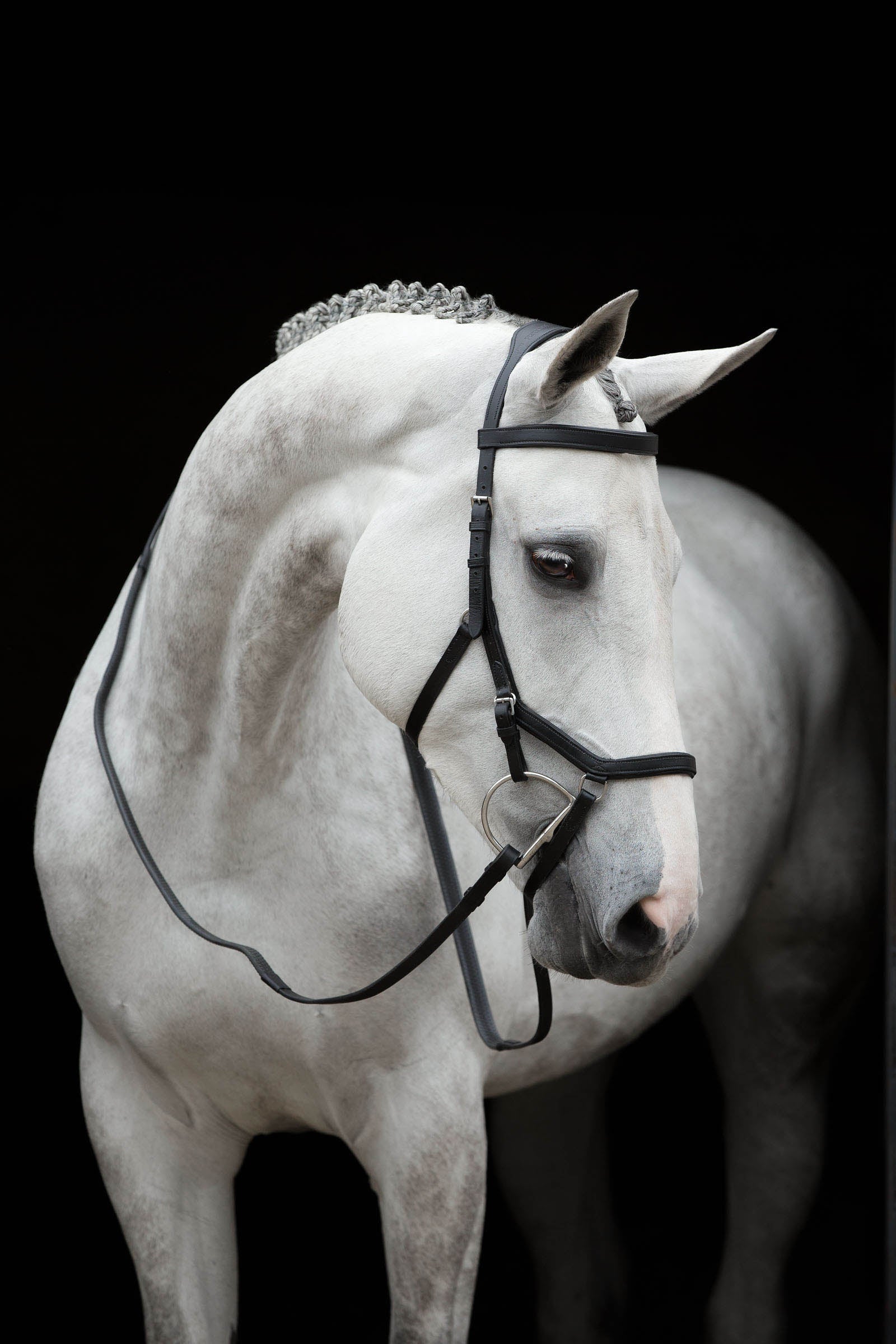 Horseware Rambo Micklem Competition trense Trenser & tøjler