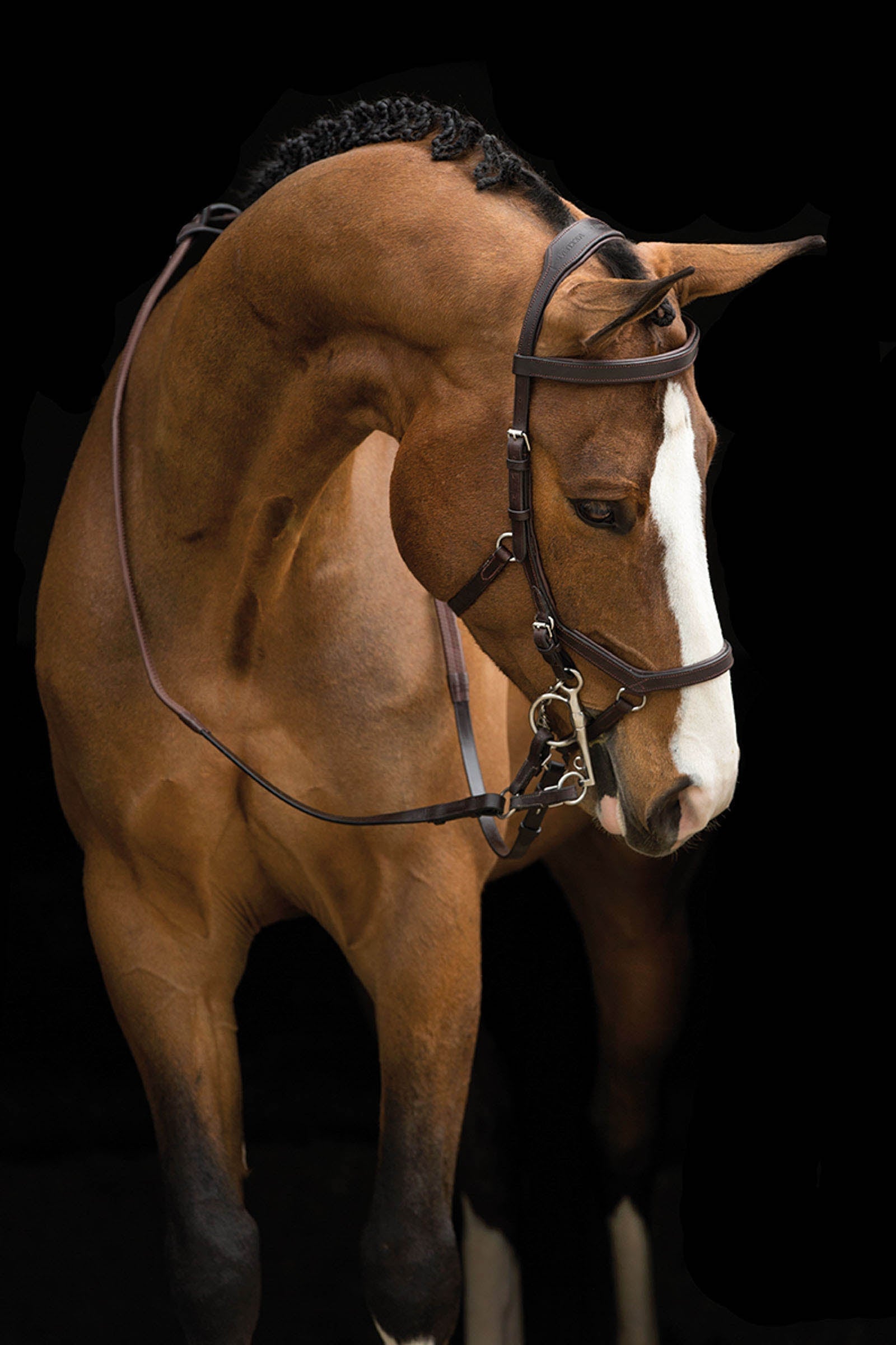Horseware Rambo Micklem Competition trense Trenser & tøjler