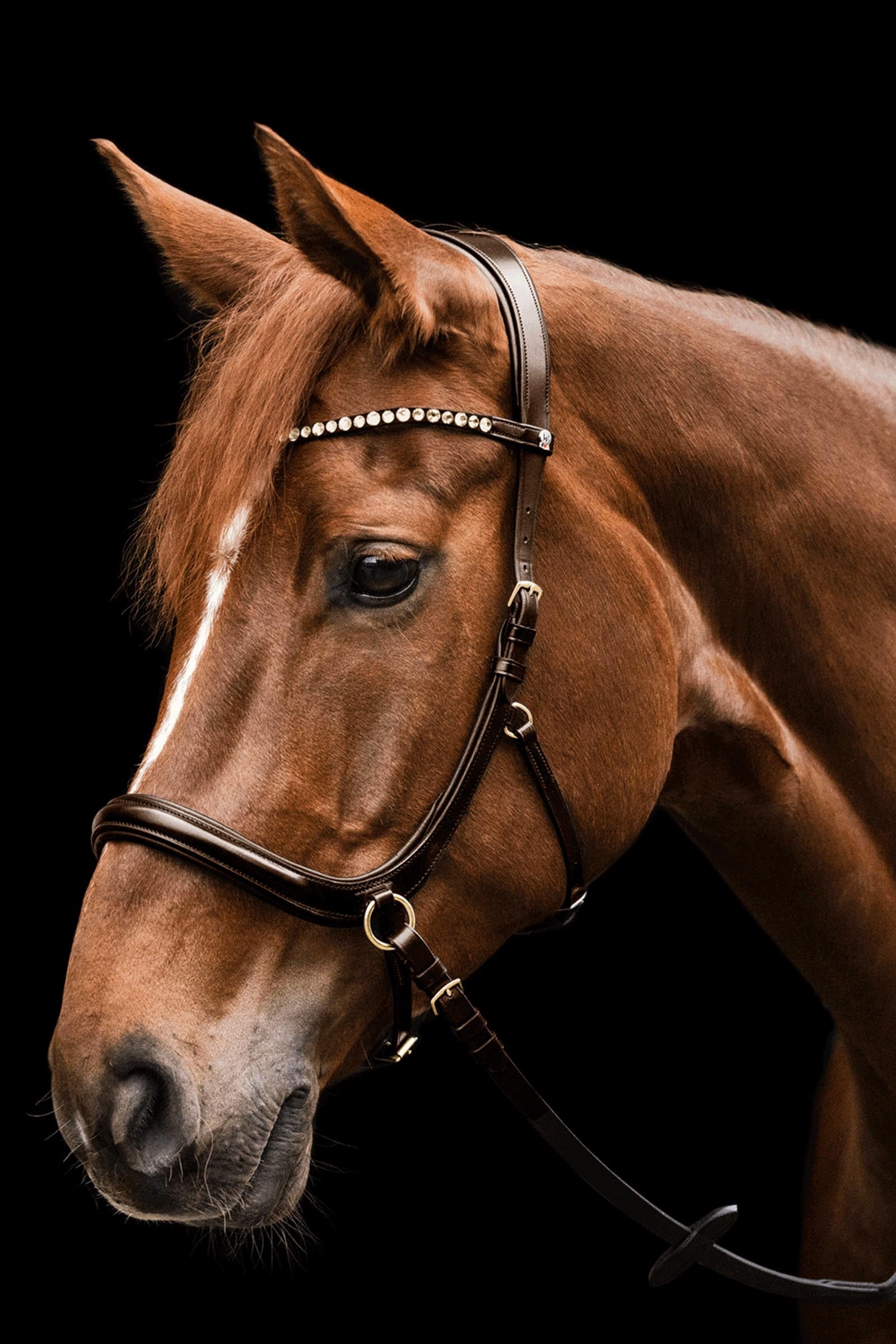 Waldhausen X-Line Sensation Anatomical Bitless Bridle Bridles & Reins