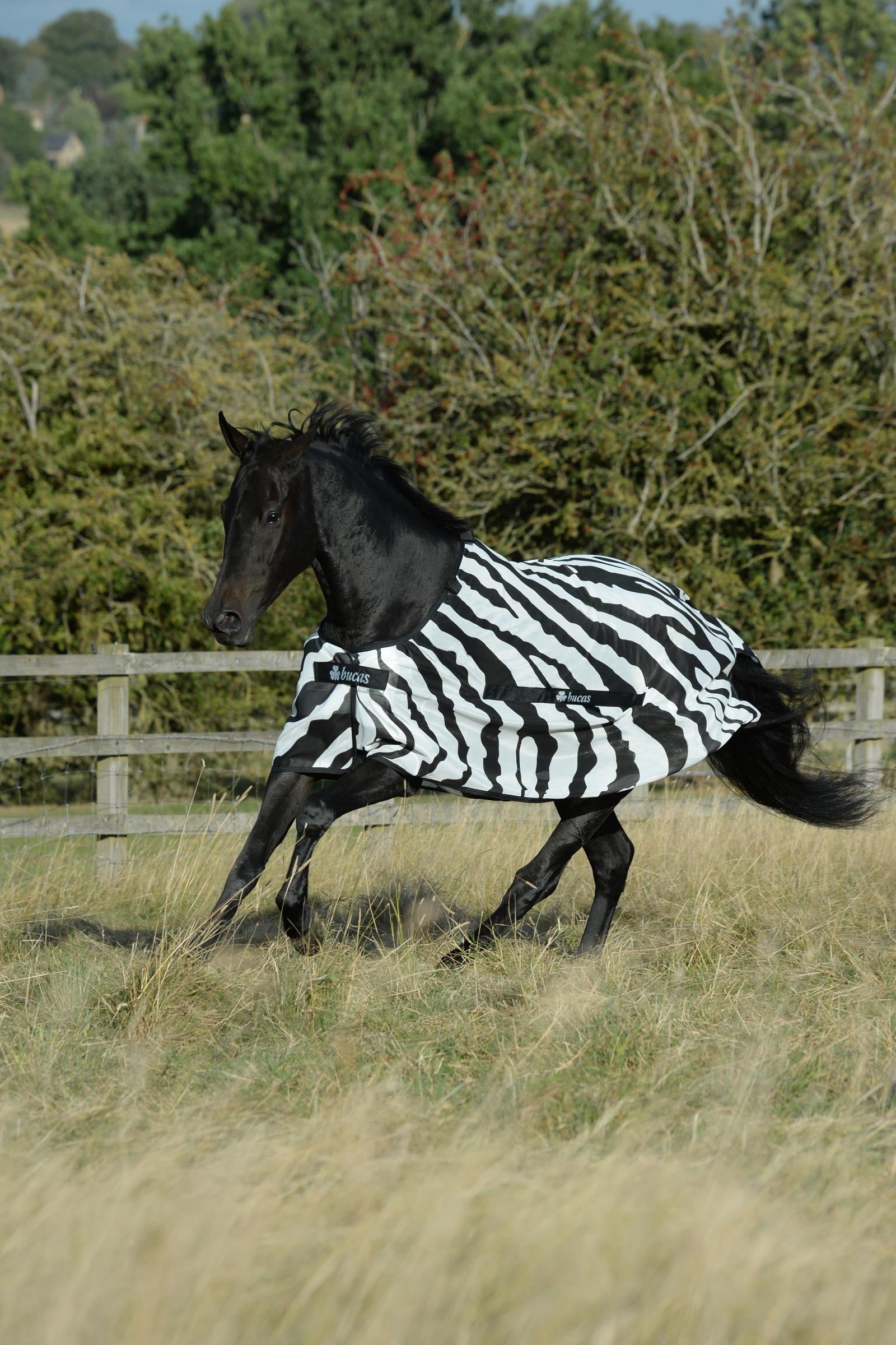 Bucas Buzz-Off Zebra Fly Rug with Detachable Full Neck Horse Rugs