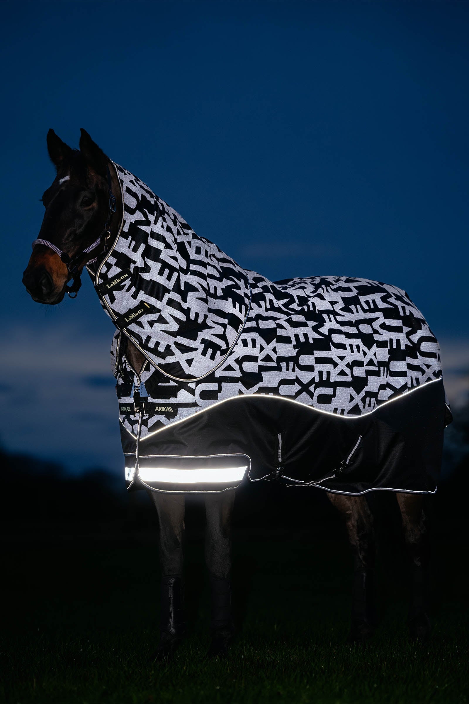LeMieux Arika Reflective Turnout Rug With Detachable Neck, 100 g Hestedækken
