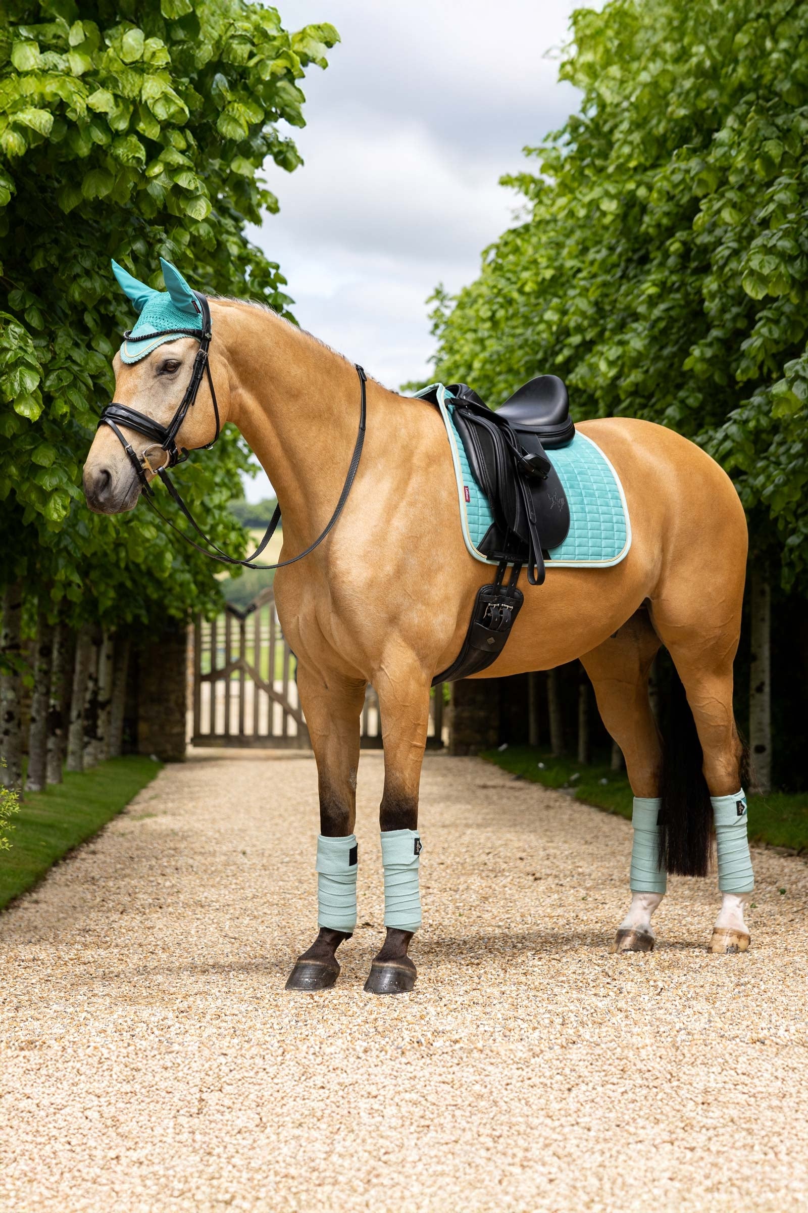 LeMieux Suede Square Dressage Saddle Pad Saddle Pads