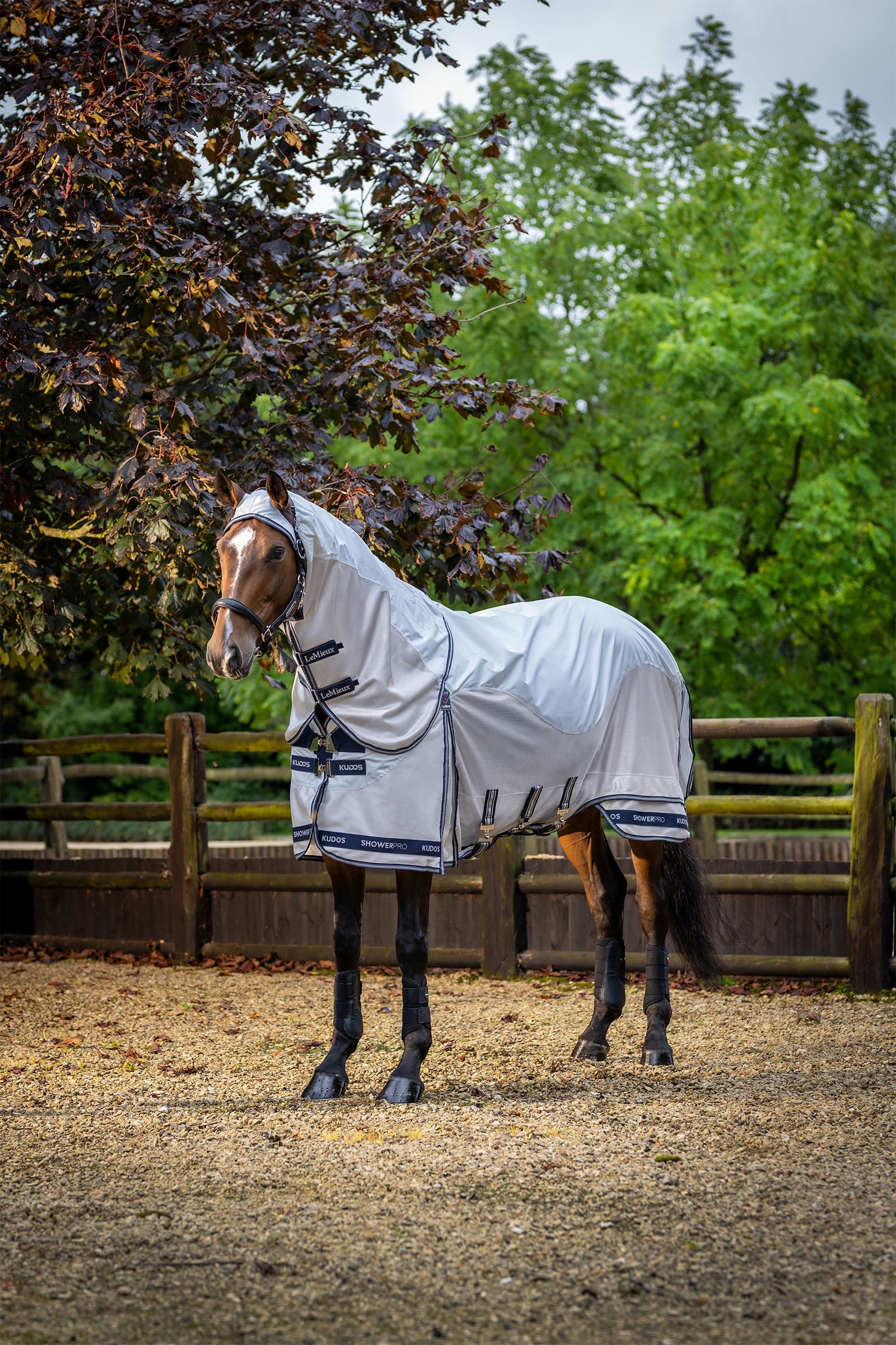 LeMieux Kudos Shower Pro Waterproof Fly Rug Horse Rugs