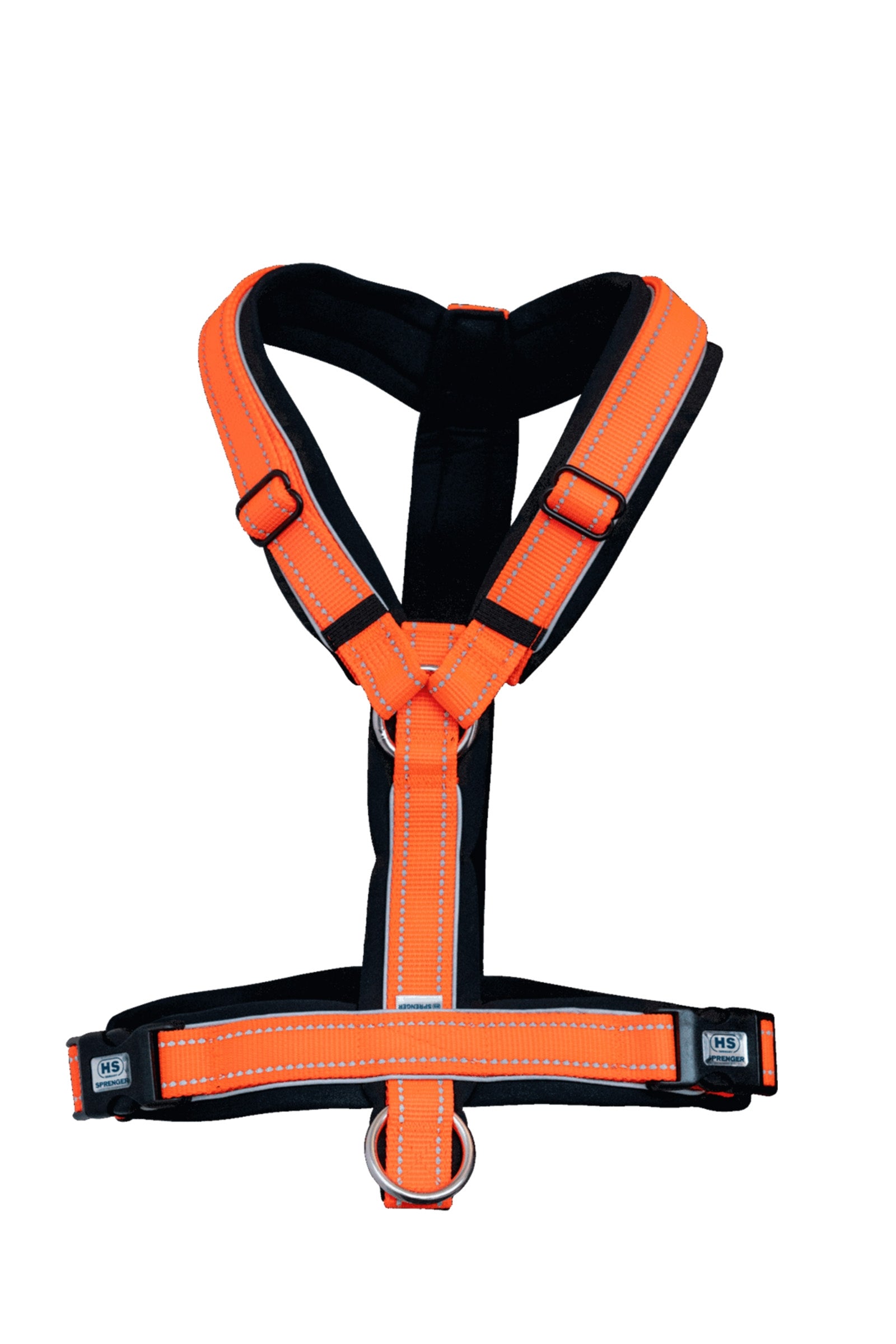 Sprenger Foal Harness Halters & Leads