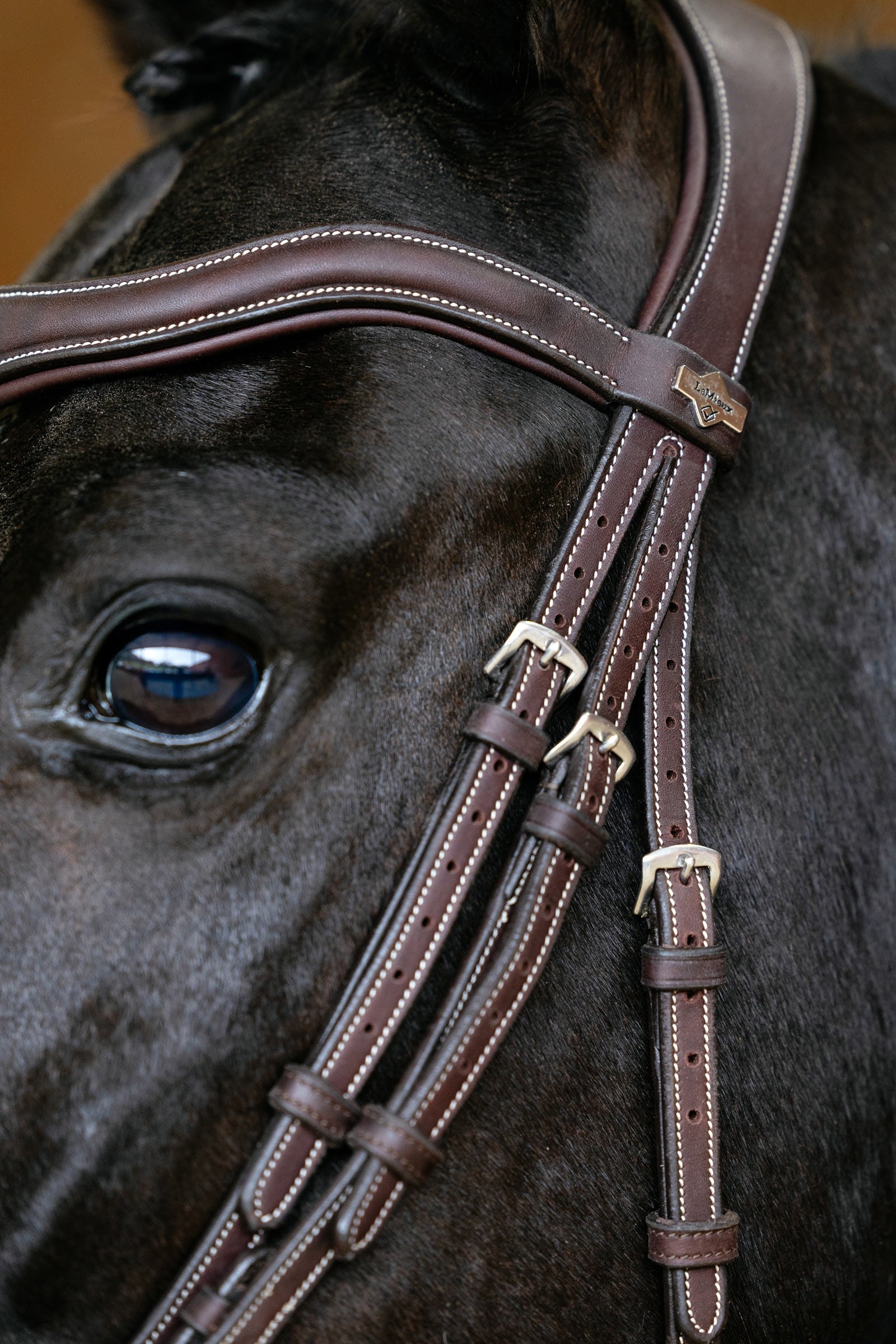 LeMieux Kudos Contour Anatomichal Flash Bridle Bridles & Reins