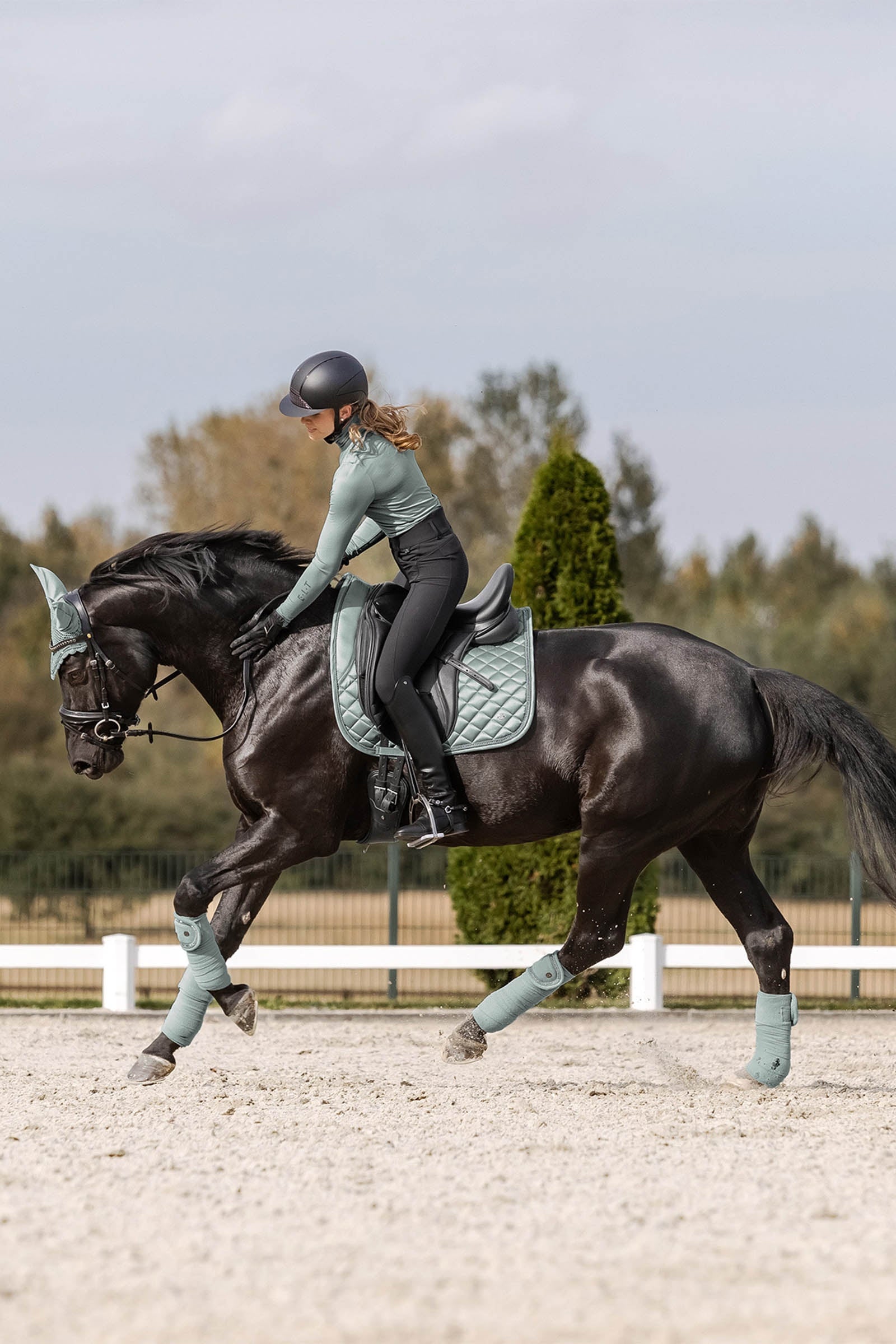 Waldhausen Nepal Fleece Bandages Leg Protection & Hoof Protection for Horses