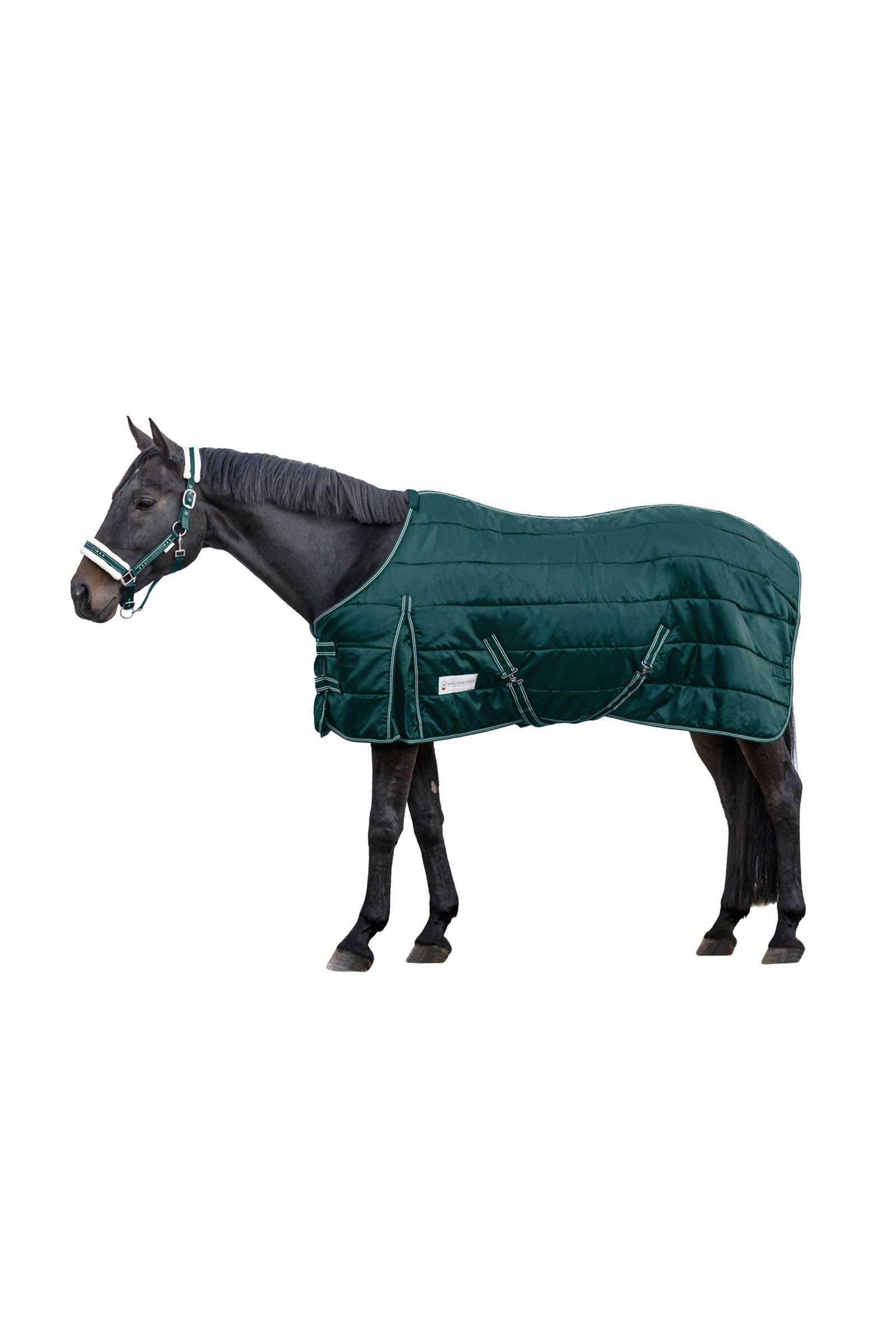 Waldhausen Stable Rug Economic 100 g Hestedækken