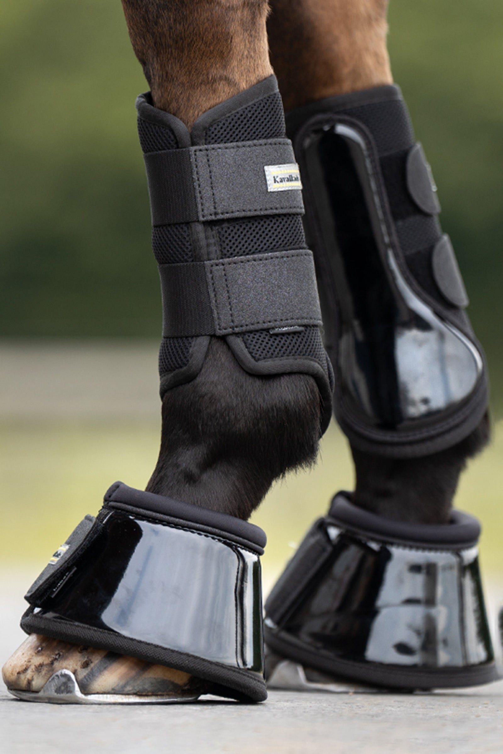 Kavalkade Star Over Reach Boots (1 Pair) Leg Protection & Hoof Protection for Horses