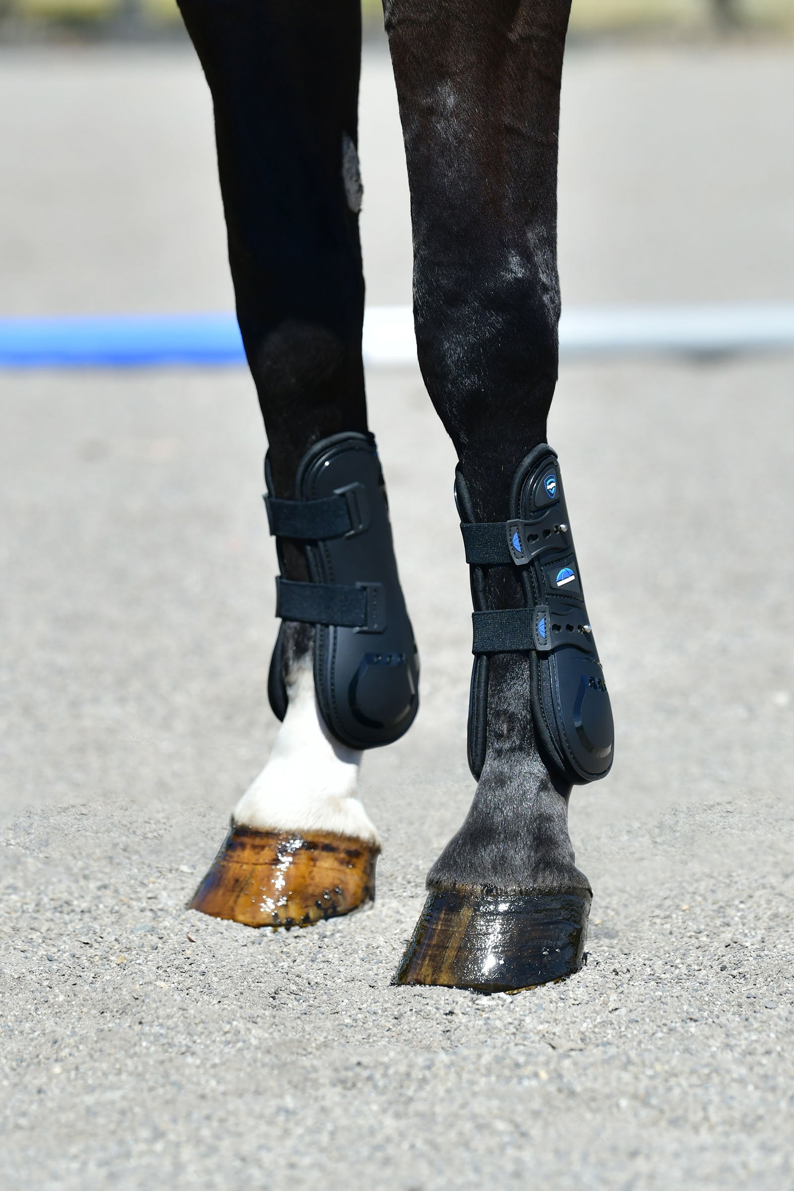 Weatherbeeta Tough-Tec Essential Open Front Boots Leg Protection & Hoof Protection for Horses