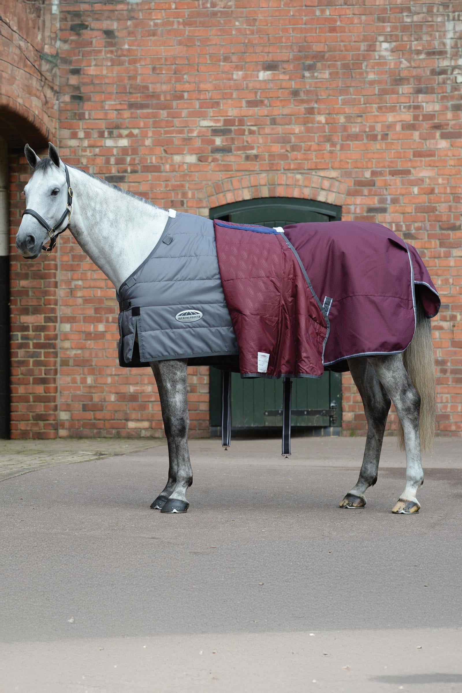 Weatherbeeta Comfitec Plus Dynamic II Turnout Rug With Detachable Neck, 220g Horse Rugs