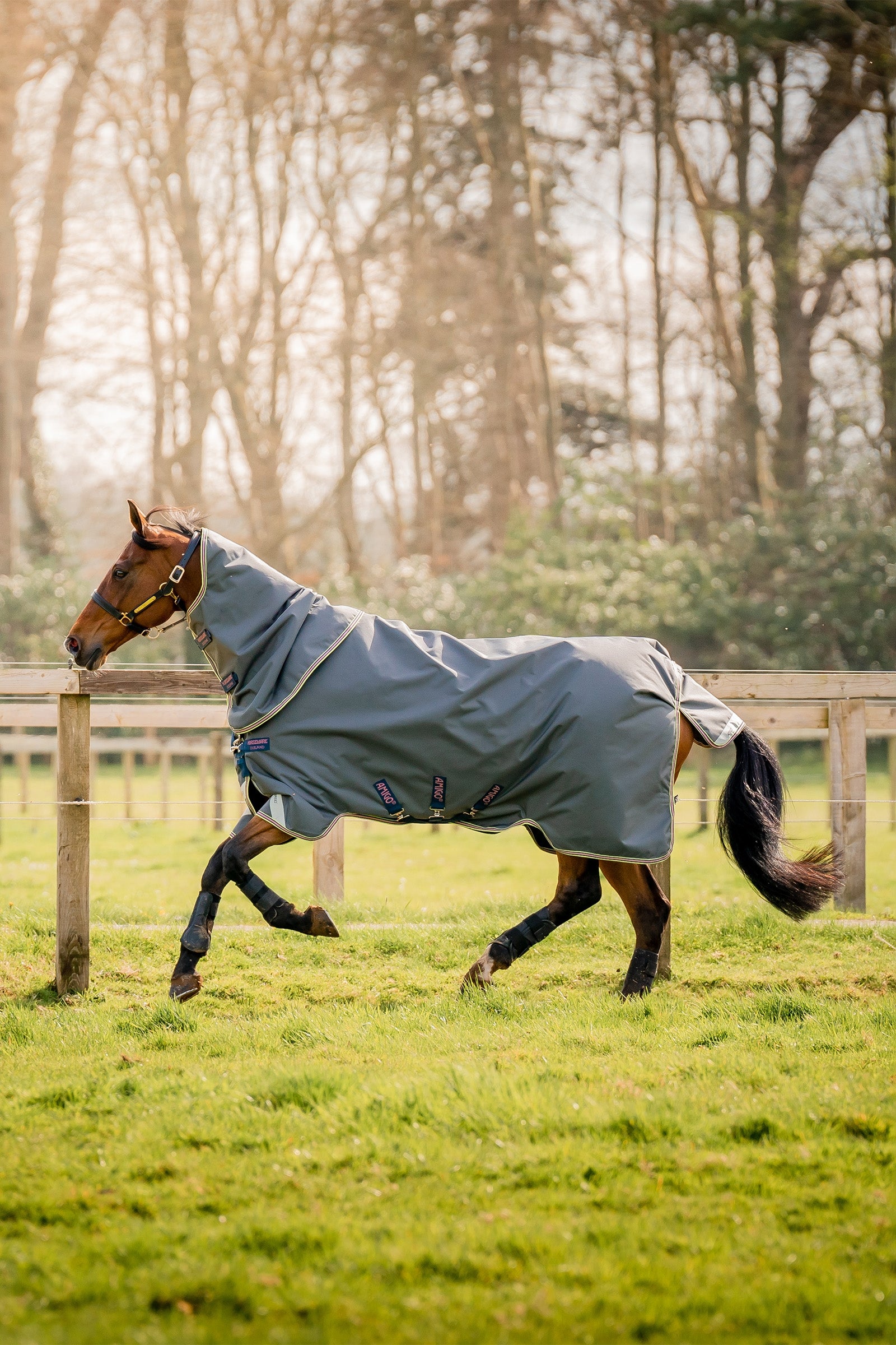 Horseware Amigo Bravo 12 Plus udedækken med aftagelig hals, 0g Hestedækken