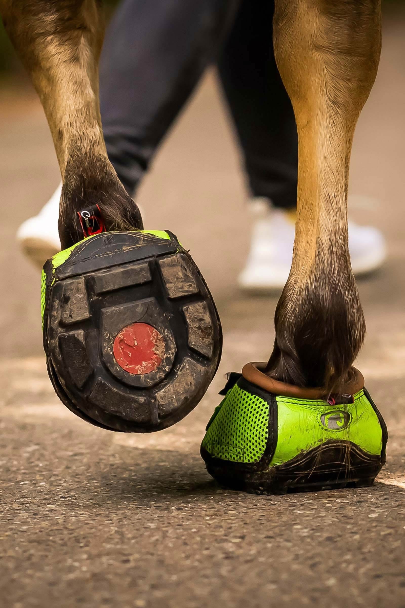 Cavallo Hoof Boots F.R.A. Trek Hoof Shoe (slim/pair) Leg Protection & Hoof Protection for Horses