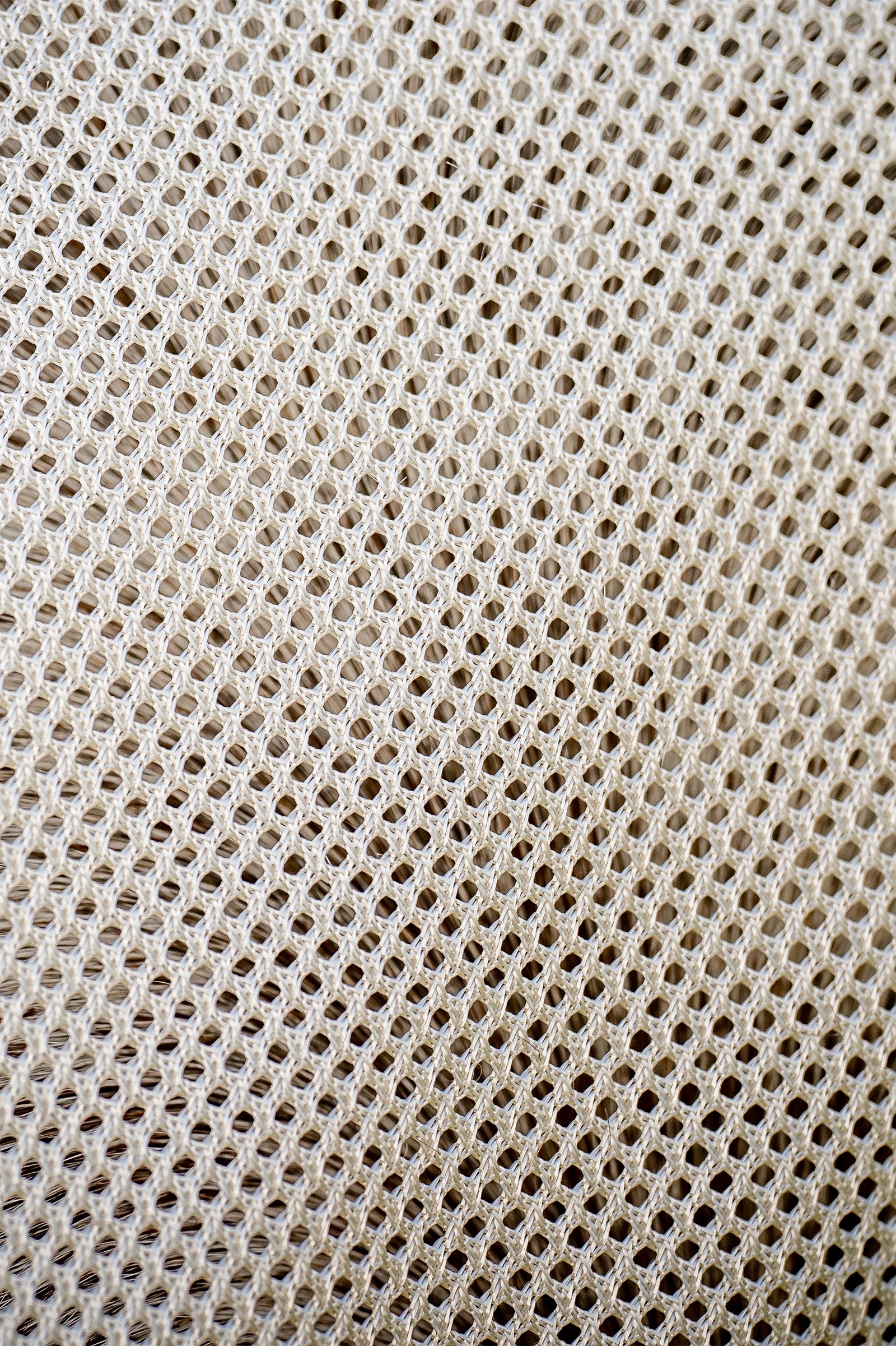 Horseware Amigo Bug Buster Fly Rug With Detachable Neck Horse Rugs