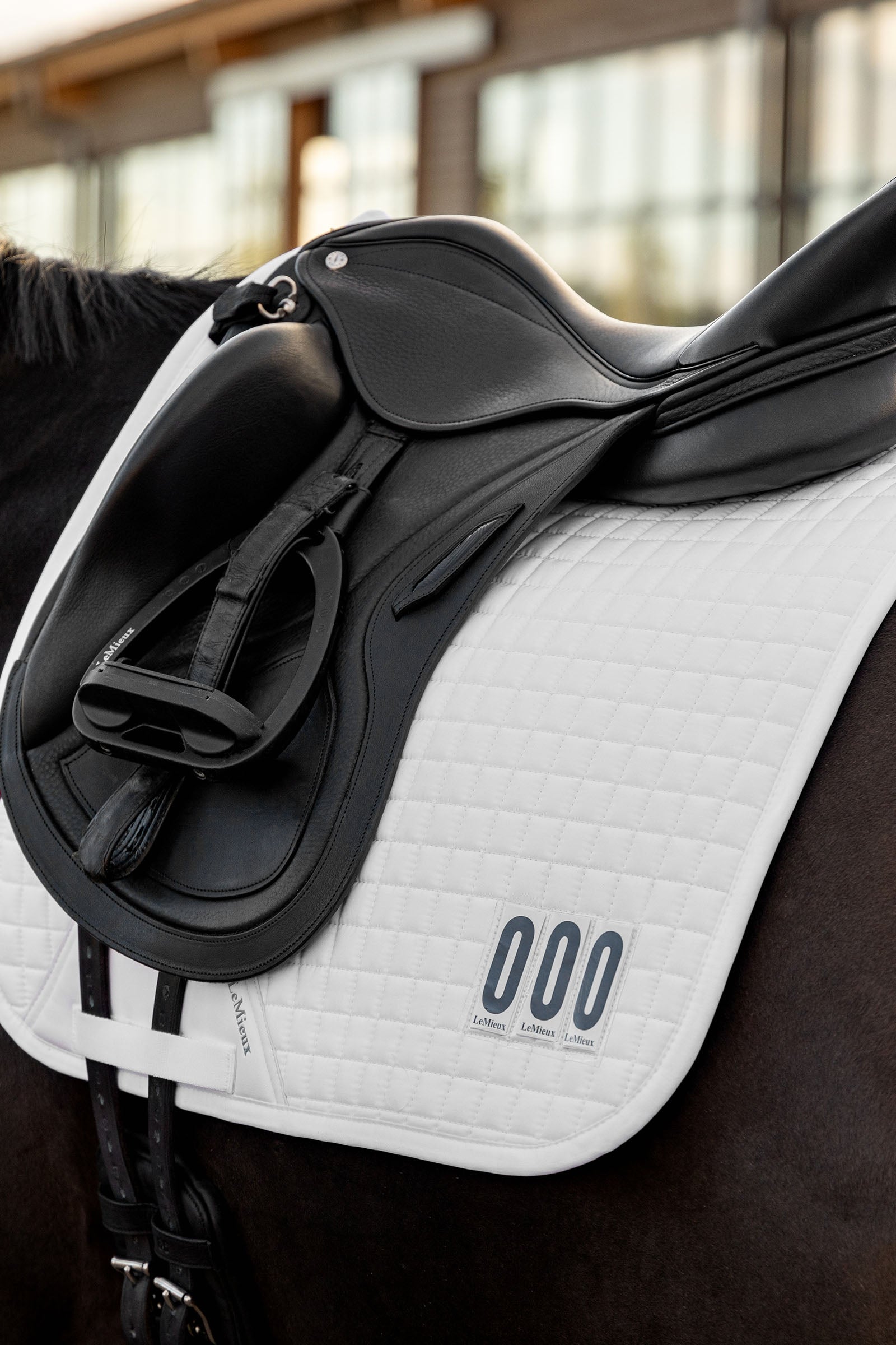 LeMieux Dressage Competition Square Saddle Pads
