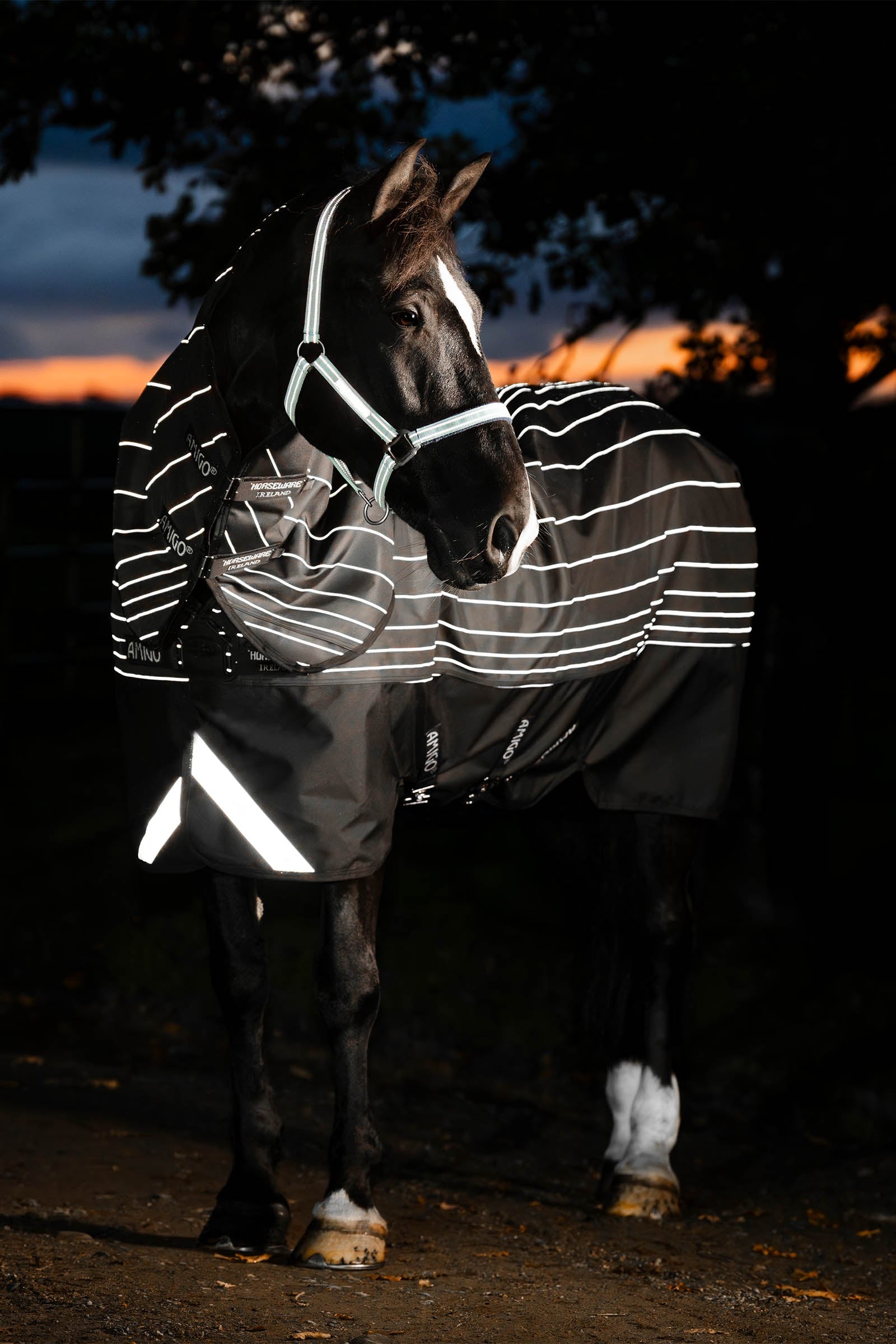 Horseware Amigo 1200D FieldSafe Reflectech Plus turnoutdækken, 100 g Hestedækken