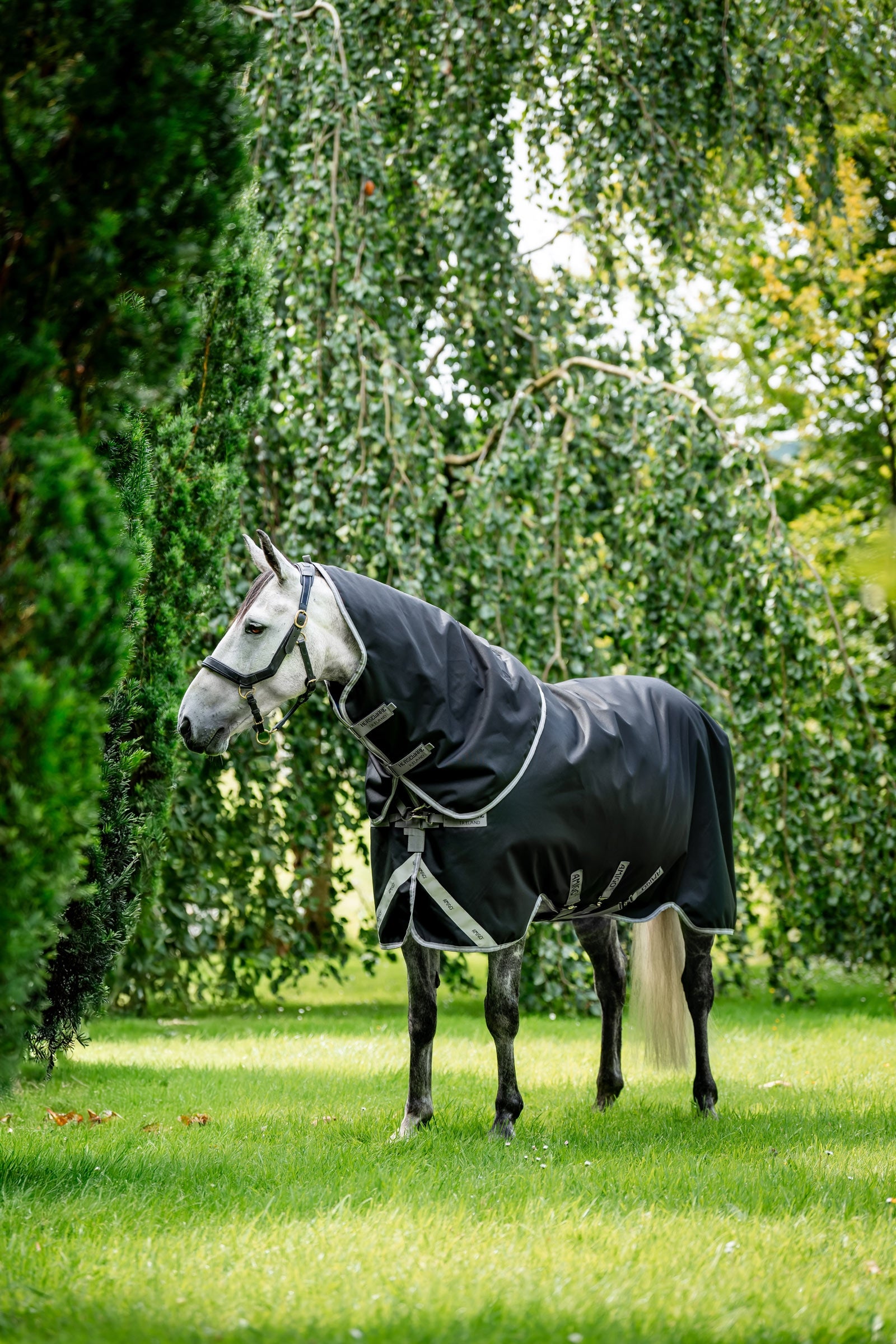 Horseware Amigo 1200D Plus turnoutdækken, 50 g Hestedækken