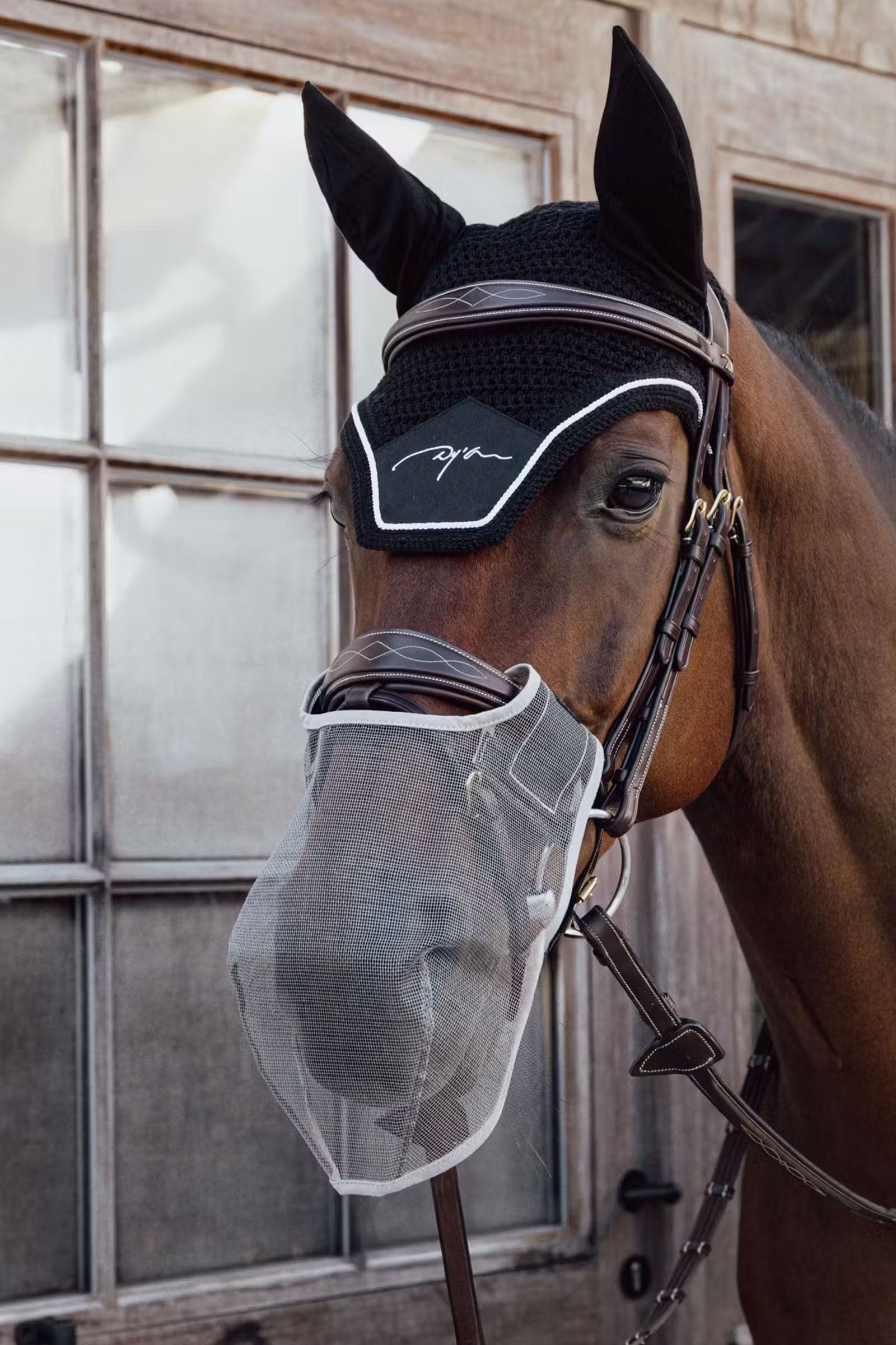 Kentucky Horsewear Anti fly nose net Antifly Protection for Horses