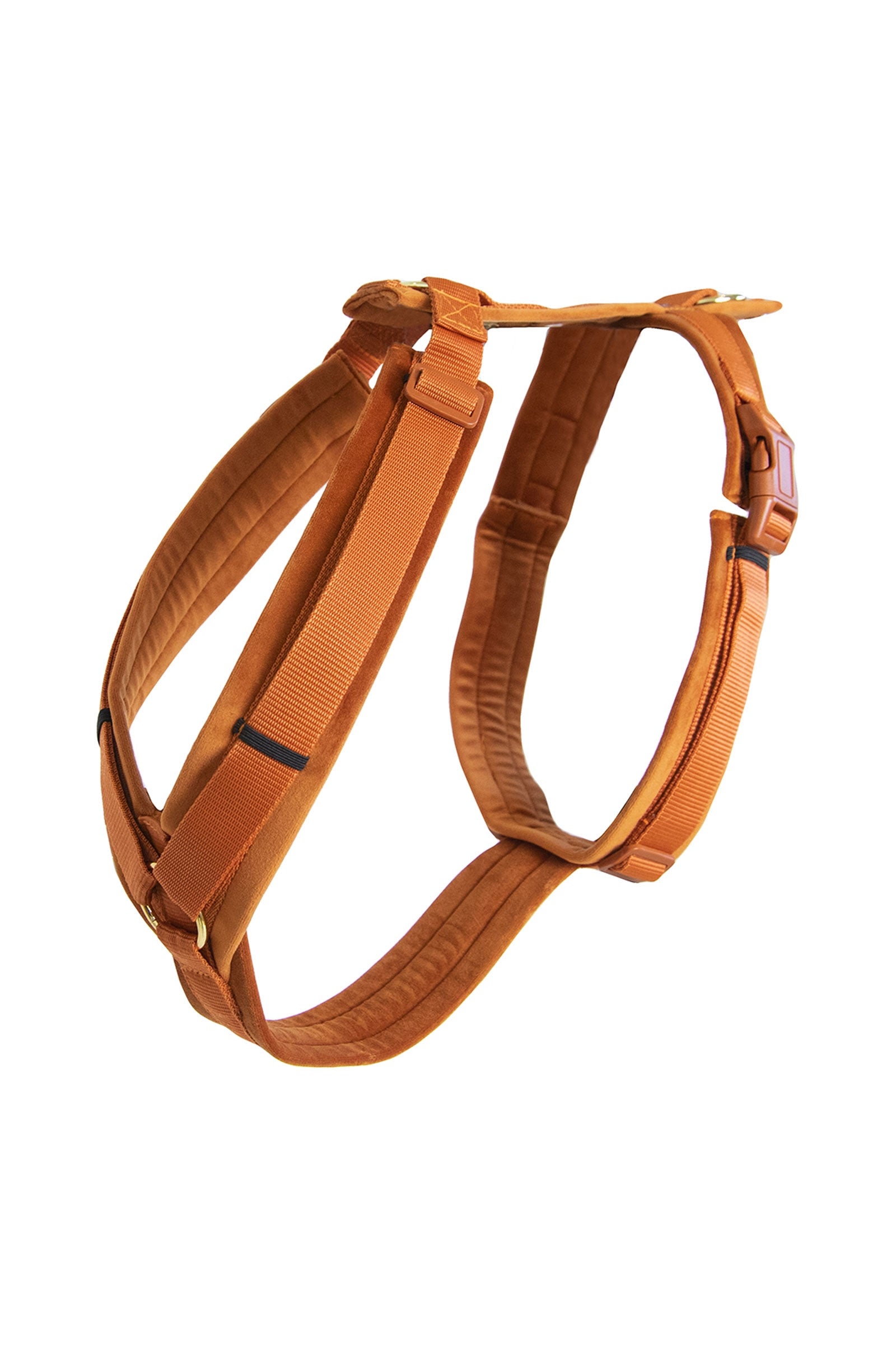 Kentucky Dogwear Active Velvet hundesele Hund
