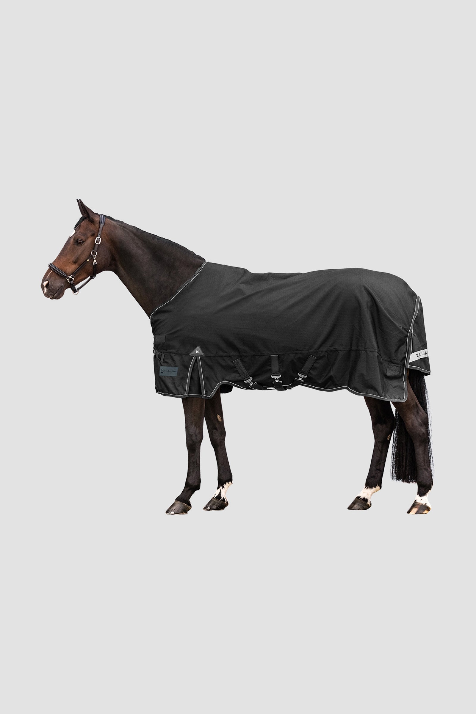 Waldhausen Outdoor Rug Scandic 50g Hestedækken