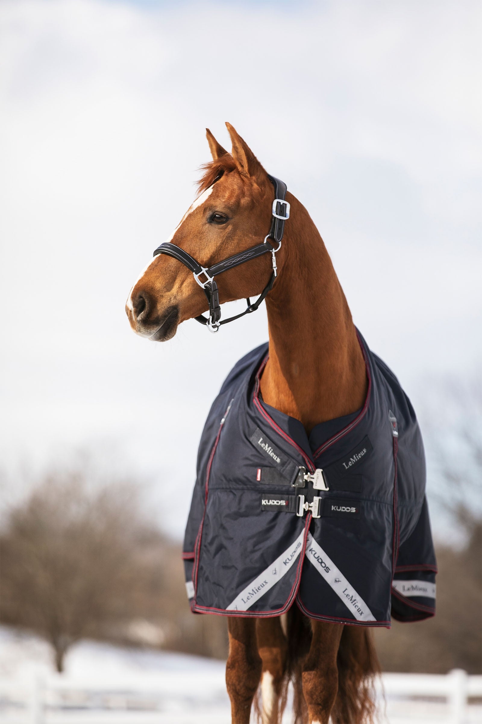 LeMieux Kudos Turnout Rug 350g Horse Rugs