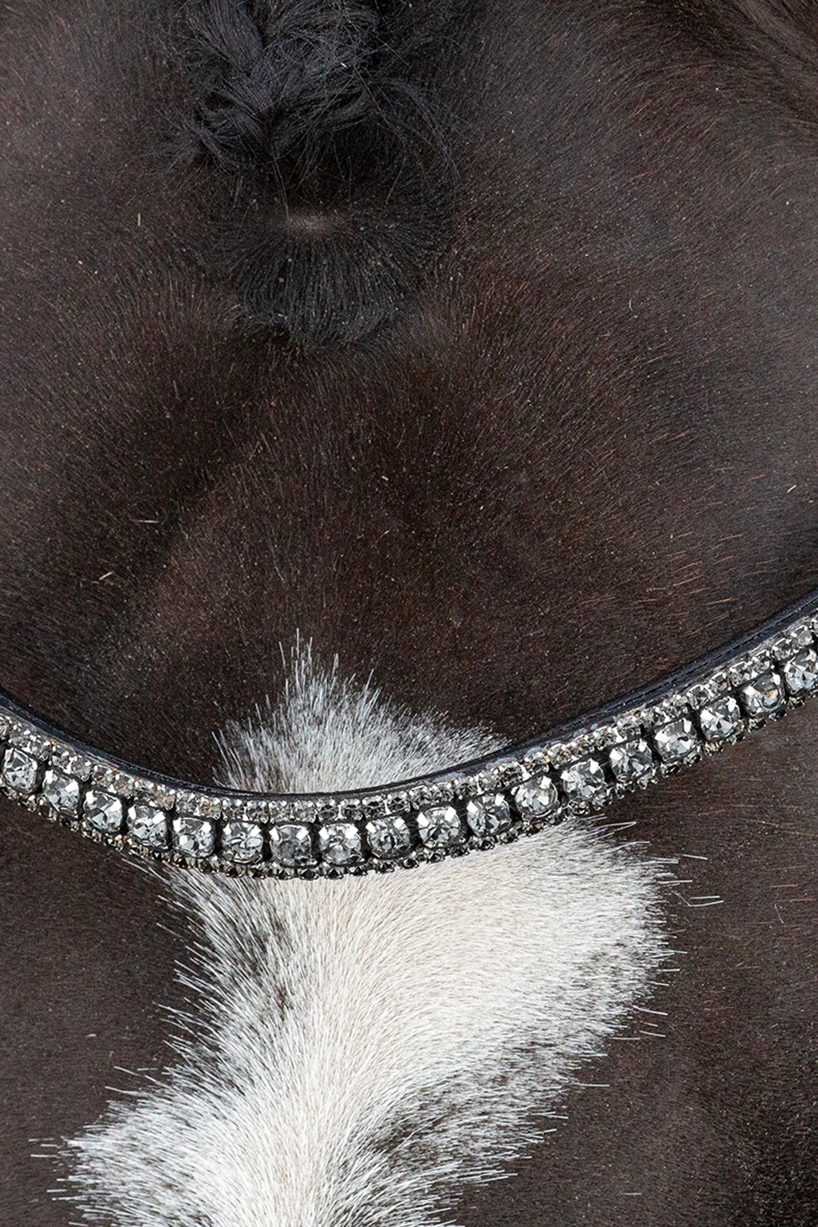 Schockemöhle Sports Brindisi Double Bridle Bridles & Reins