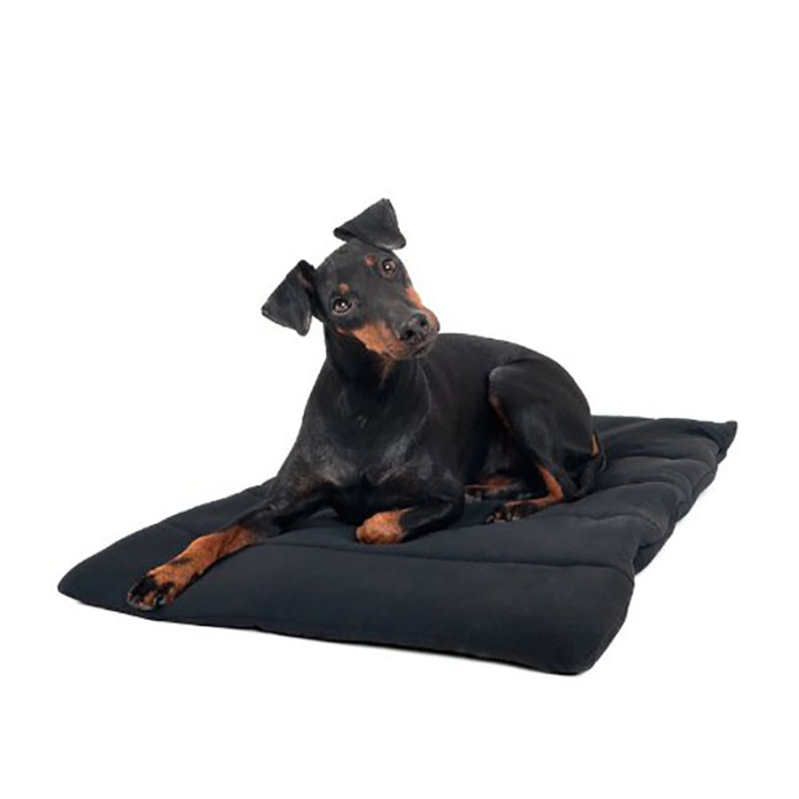 Back on Track Dog Blanket Dog Accesories