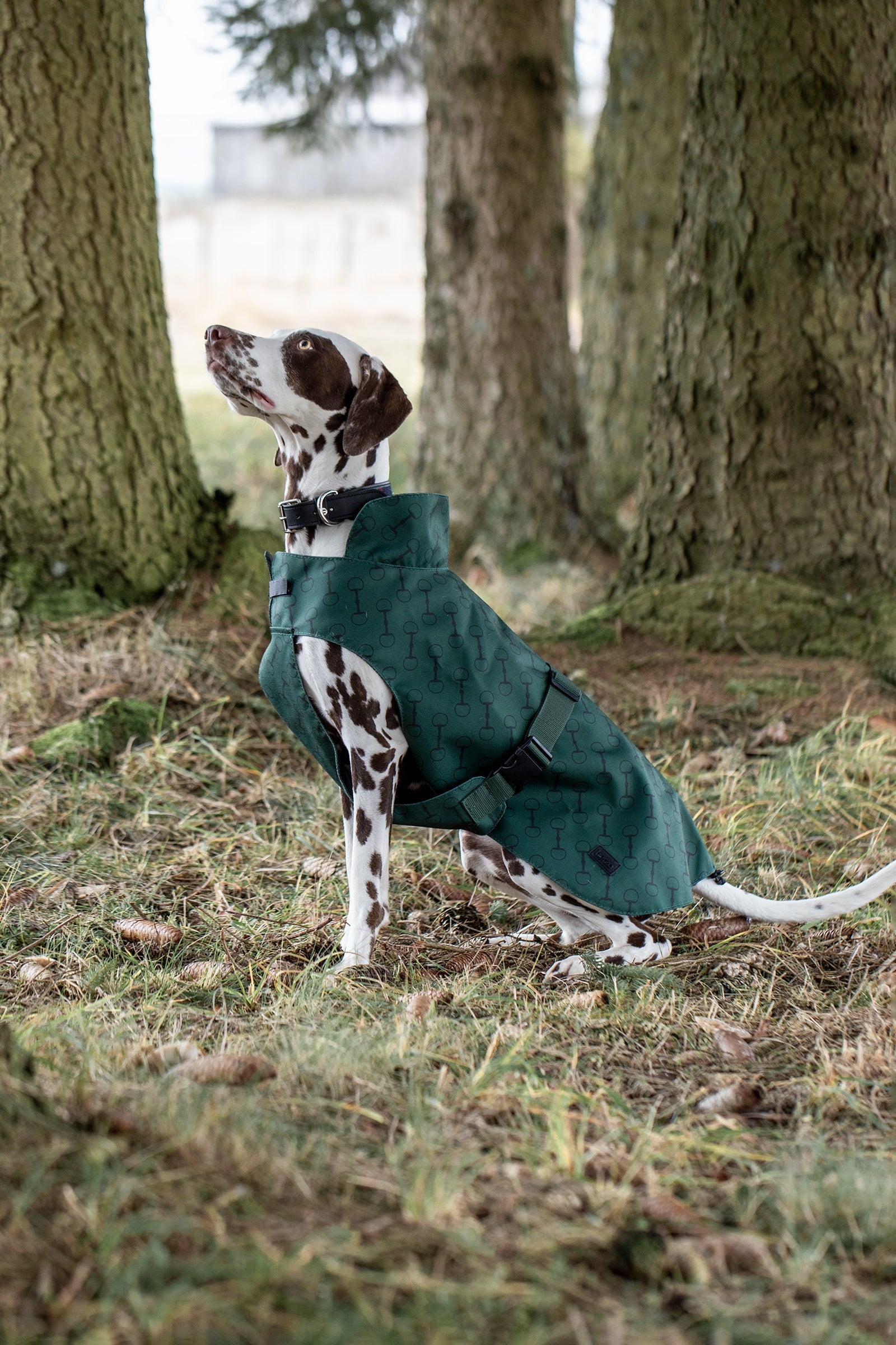 Horze Noir hundefrakke med print Hund