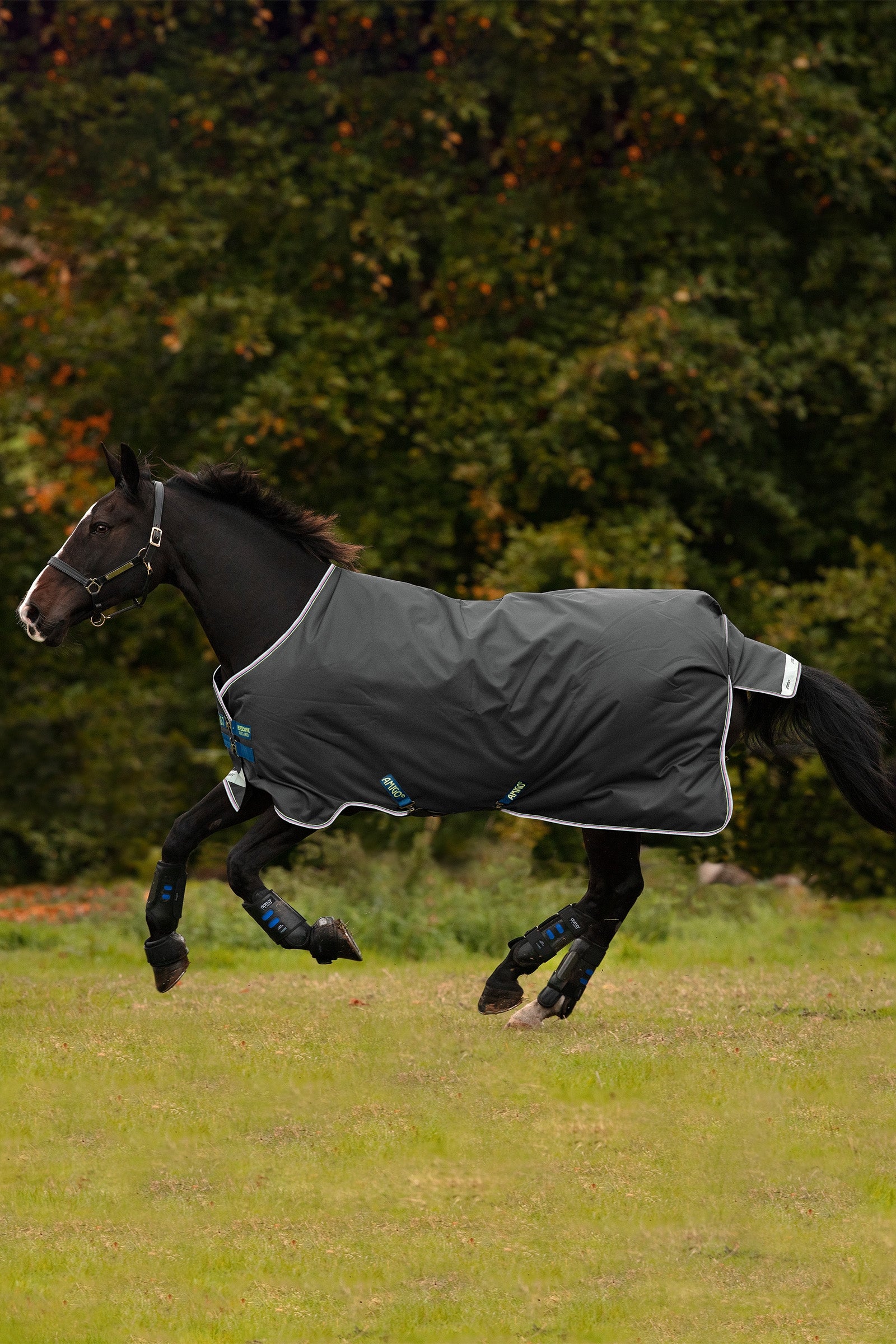 Horseware Amigo Bravo 12 udedækken, 100g Hestedækken