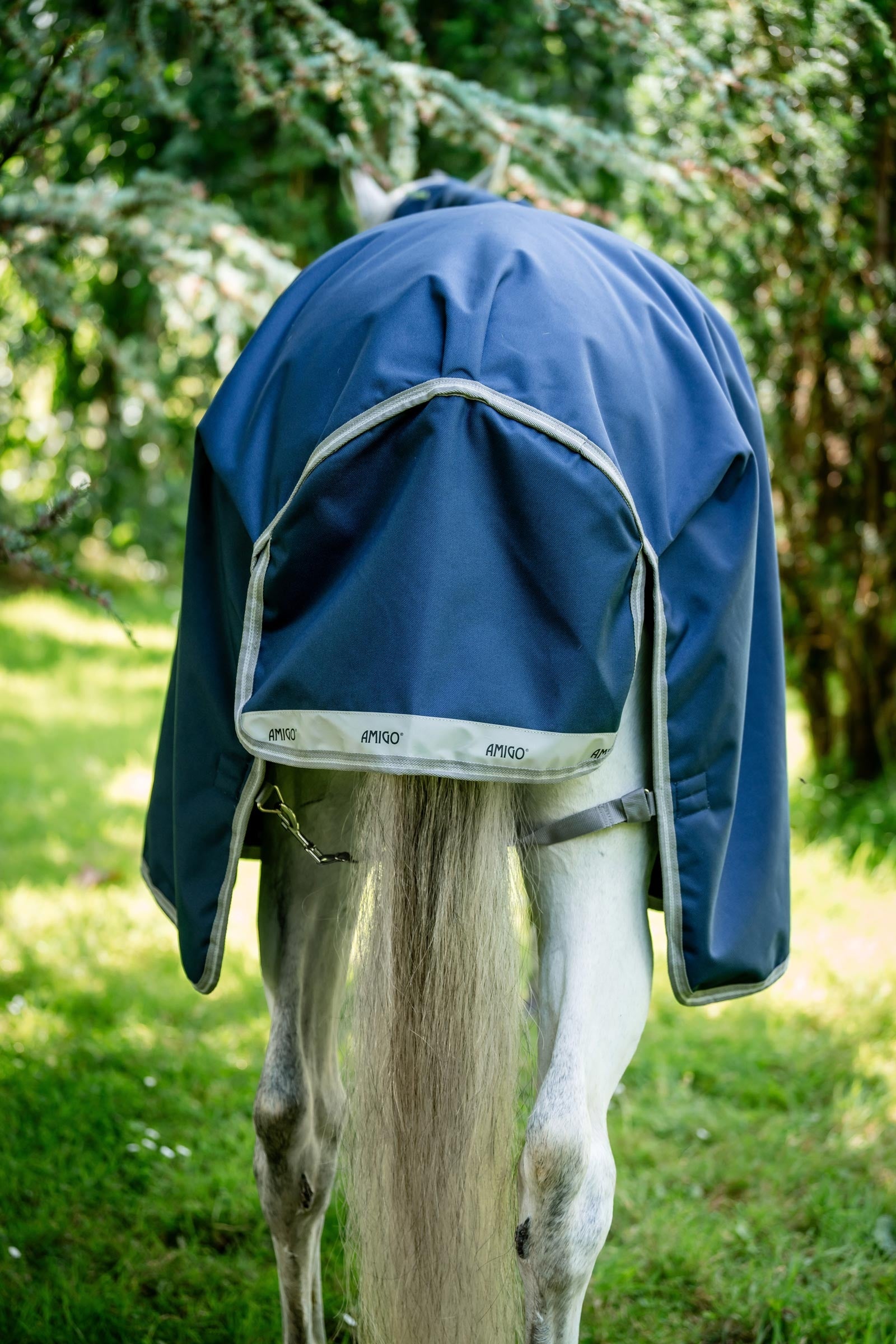 Horseware Amigo Bravo 12 Turnout Rug, 100g Horse Rugs